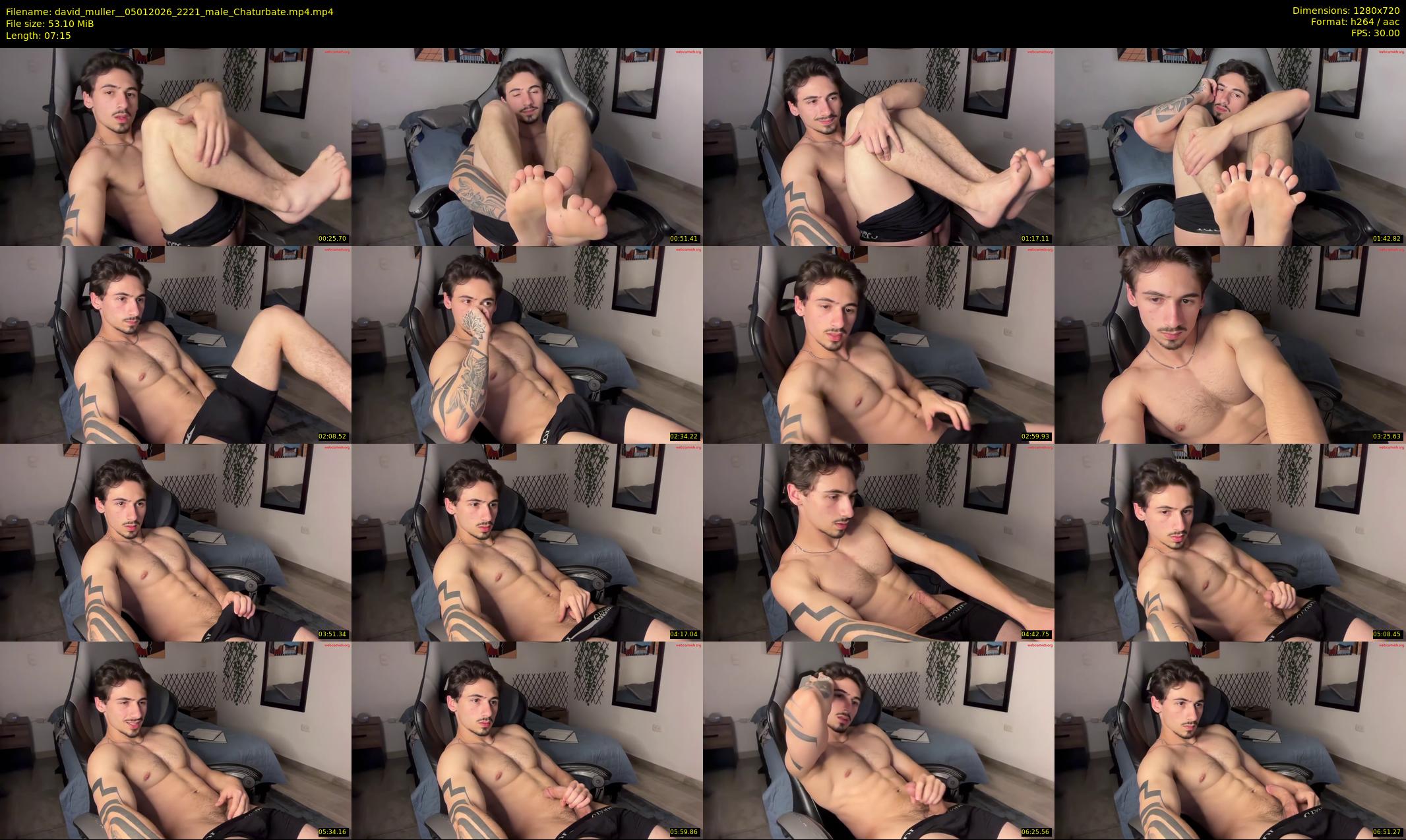 david_muller_ — 8 minute Chaturbate male cam show recording, 720p, Jan 5, 2026