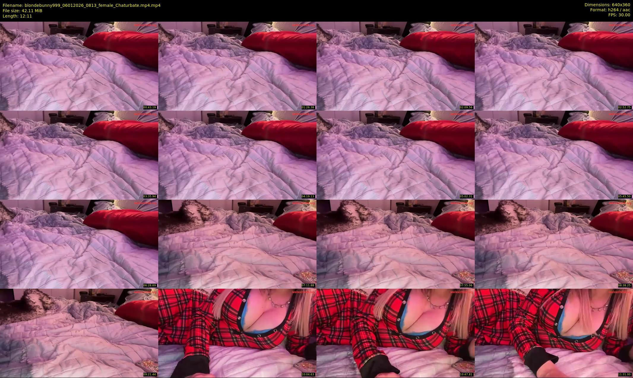 blondebunny999 — 13 minute Chaturbate female cam show recording, 360p, Jan 6, 2026