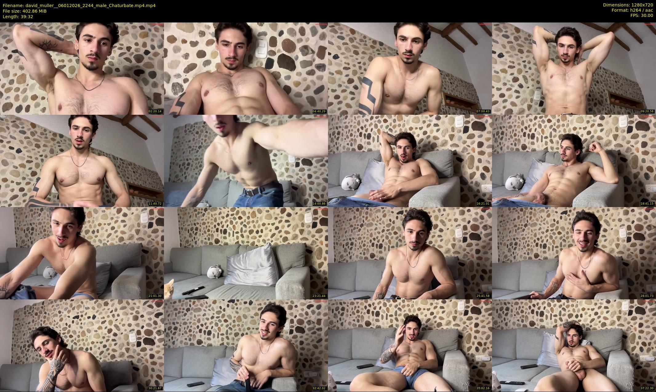 david_muller_ — 40 minute Chaturbate male cam show recording, 720p, Jan 6, 2026