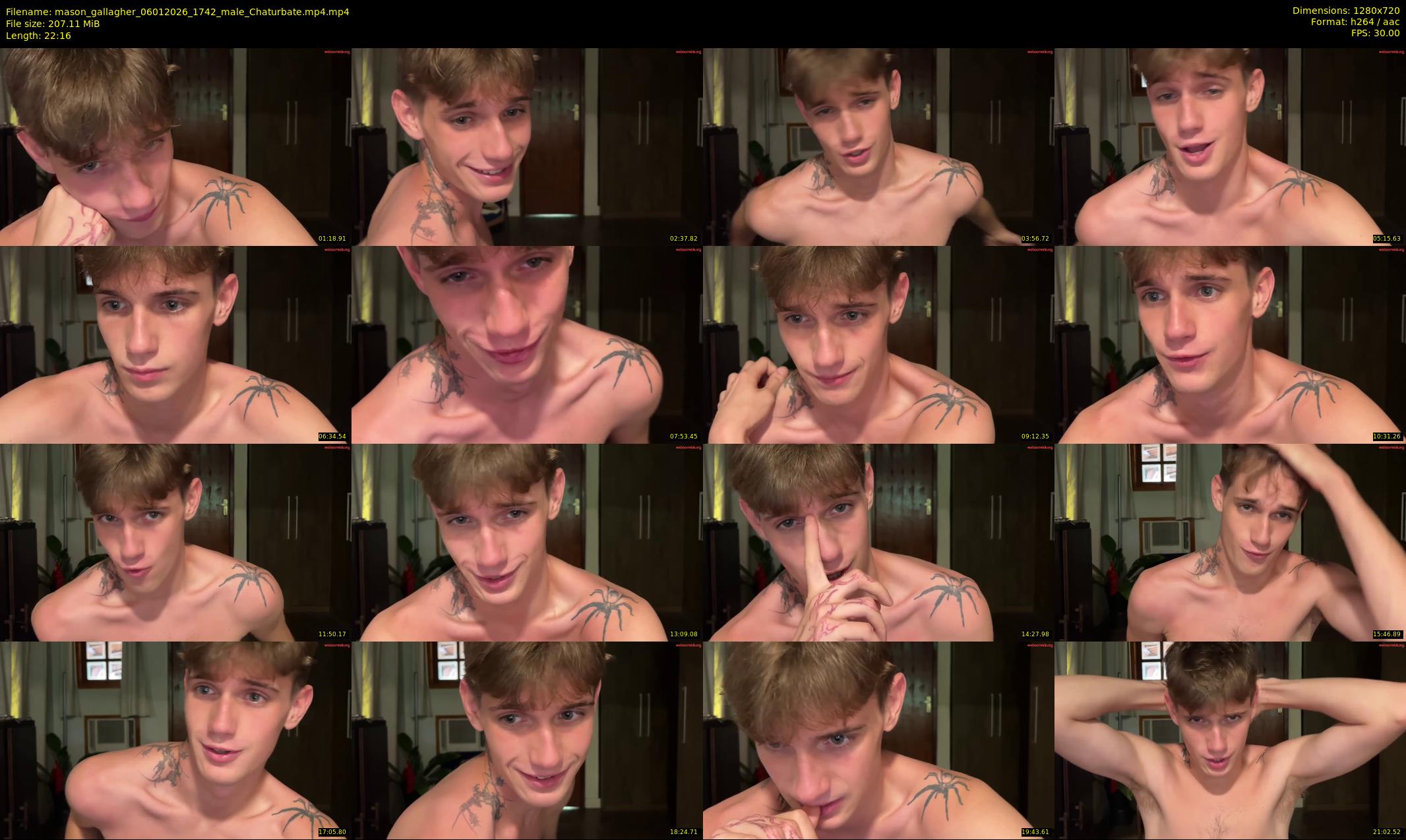 mason_gallagher — 23 minute Chaturbate male cam show recording, 720p, Jan 6, 2026