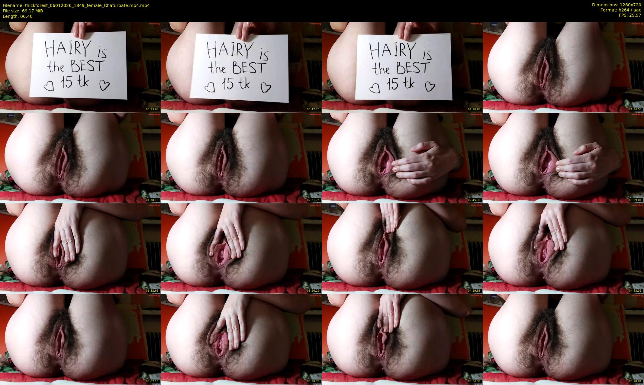 thickforest — 7 minute Chaturbate female cam show recording, 720p, Jan 6, 2026