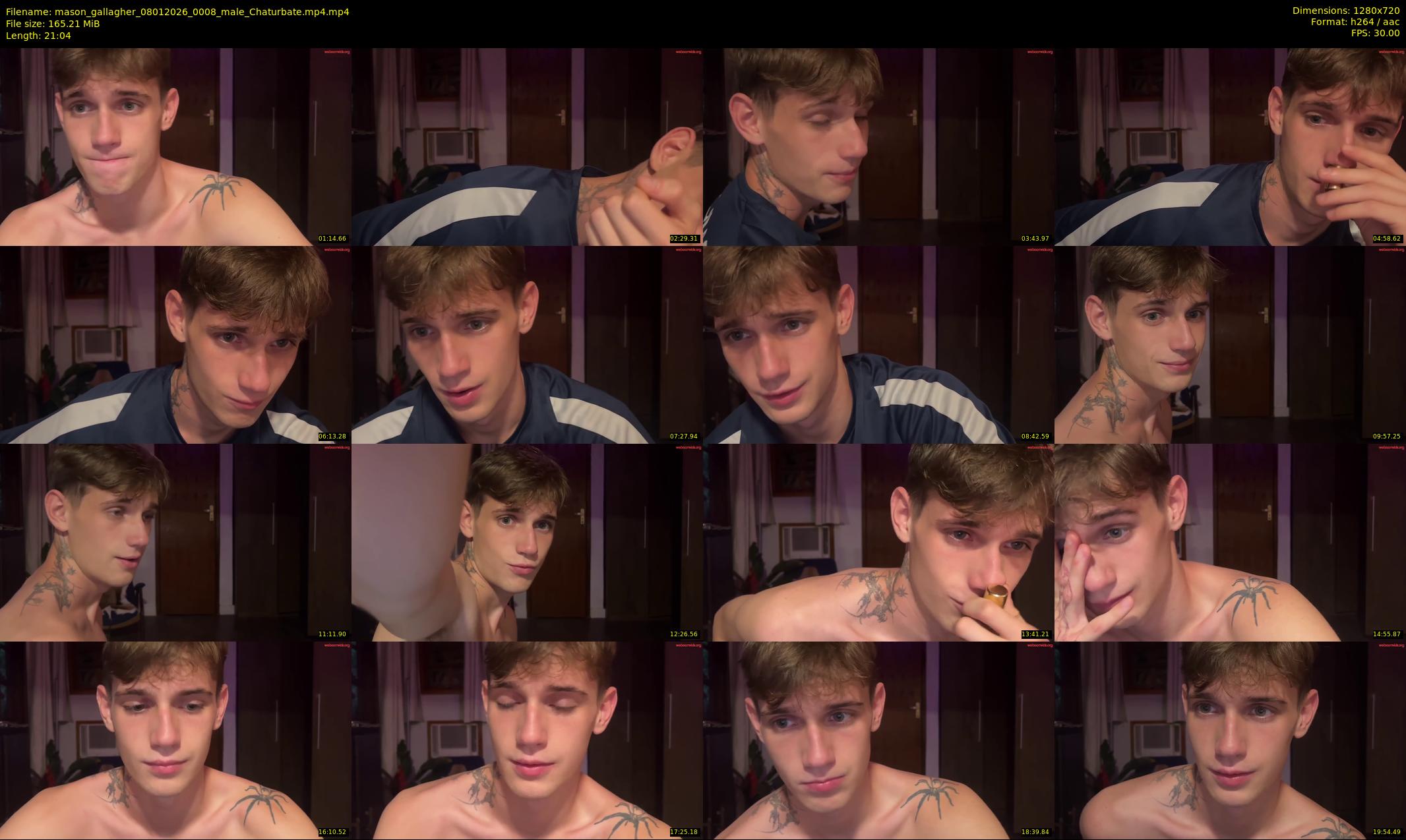 mason_gallagher — 22 minute Chaturbate male cam show recording, 720p, Jan 8, 2026