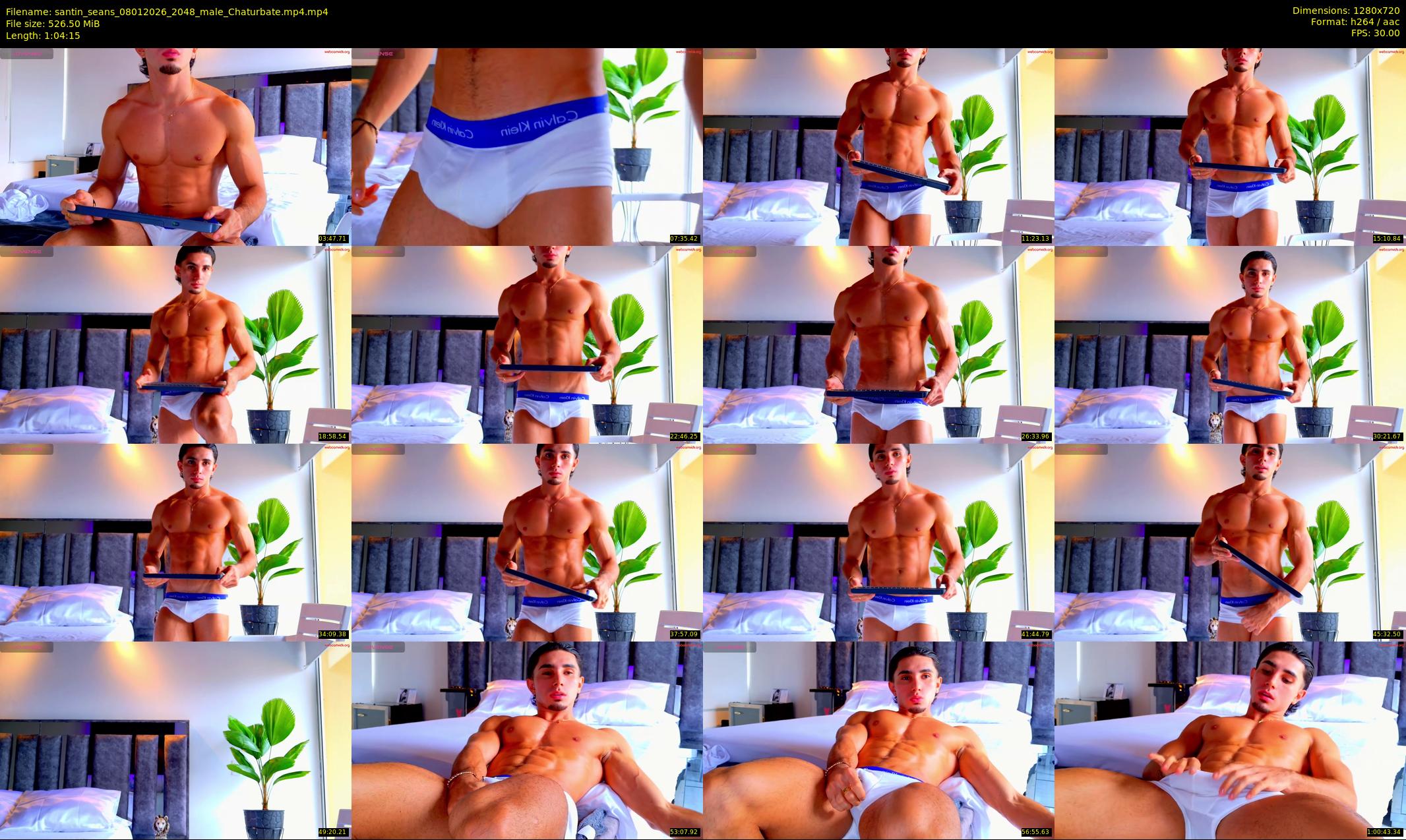 santin_seans — 65 minute Chaturbate male cam show recording, 720p, Jan 8, 2026