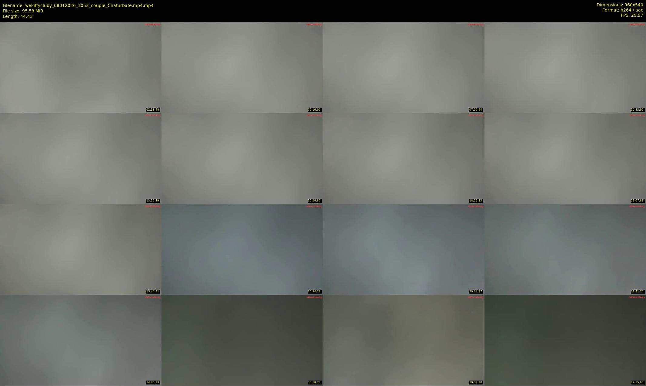 wekittycluby — 45 minute Chaturbate couple cam show recording, 480p, Jan 8, 2026