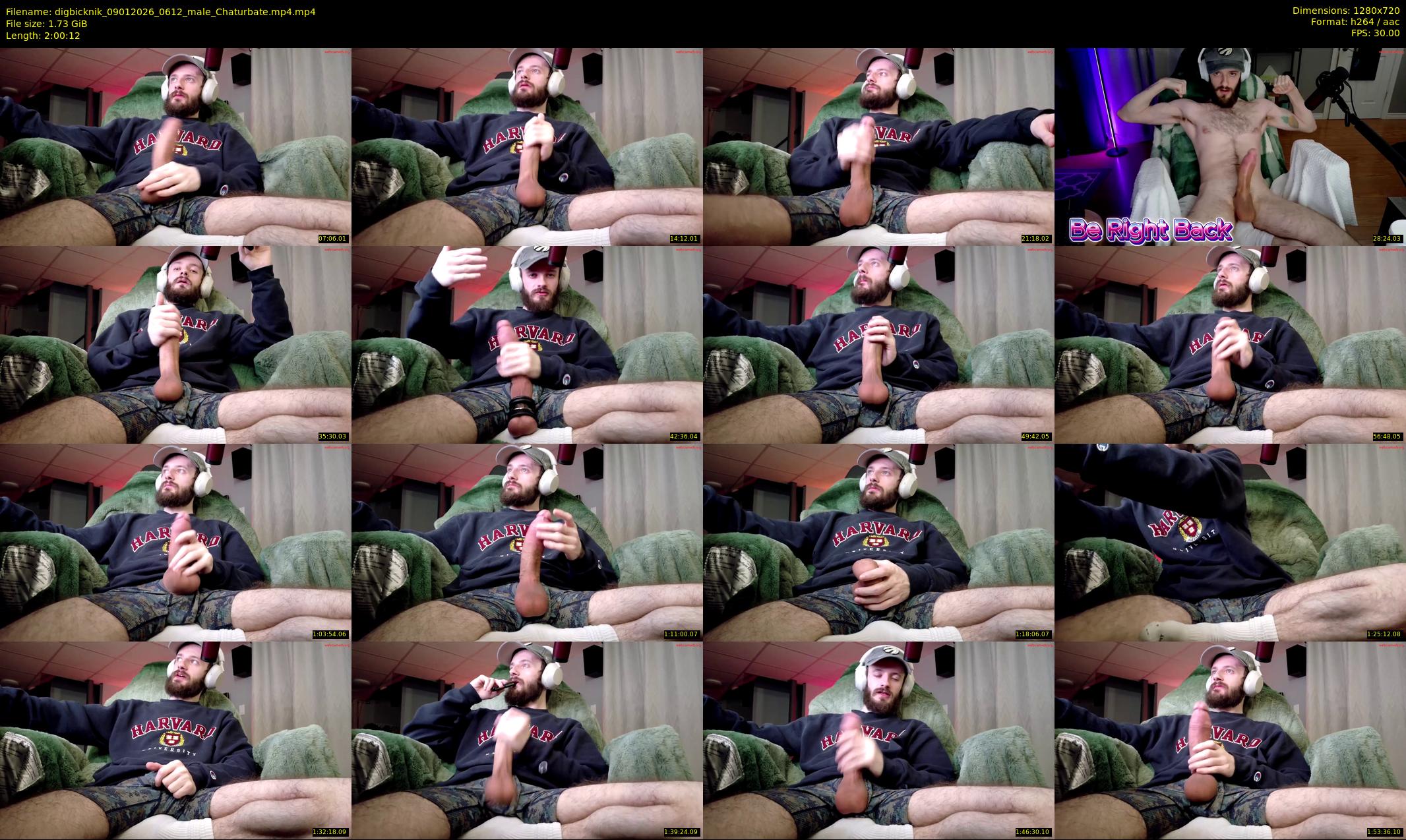 digbicknik — 121 minute Chaturbate male cam show recording, 720p, Jan 9, 2026
