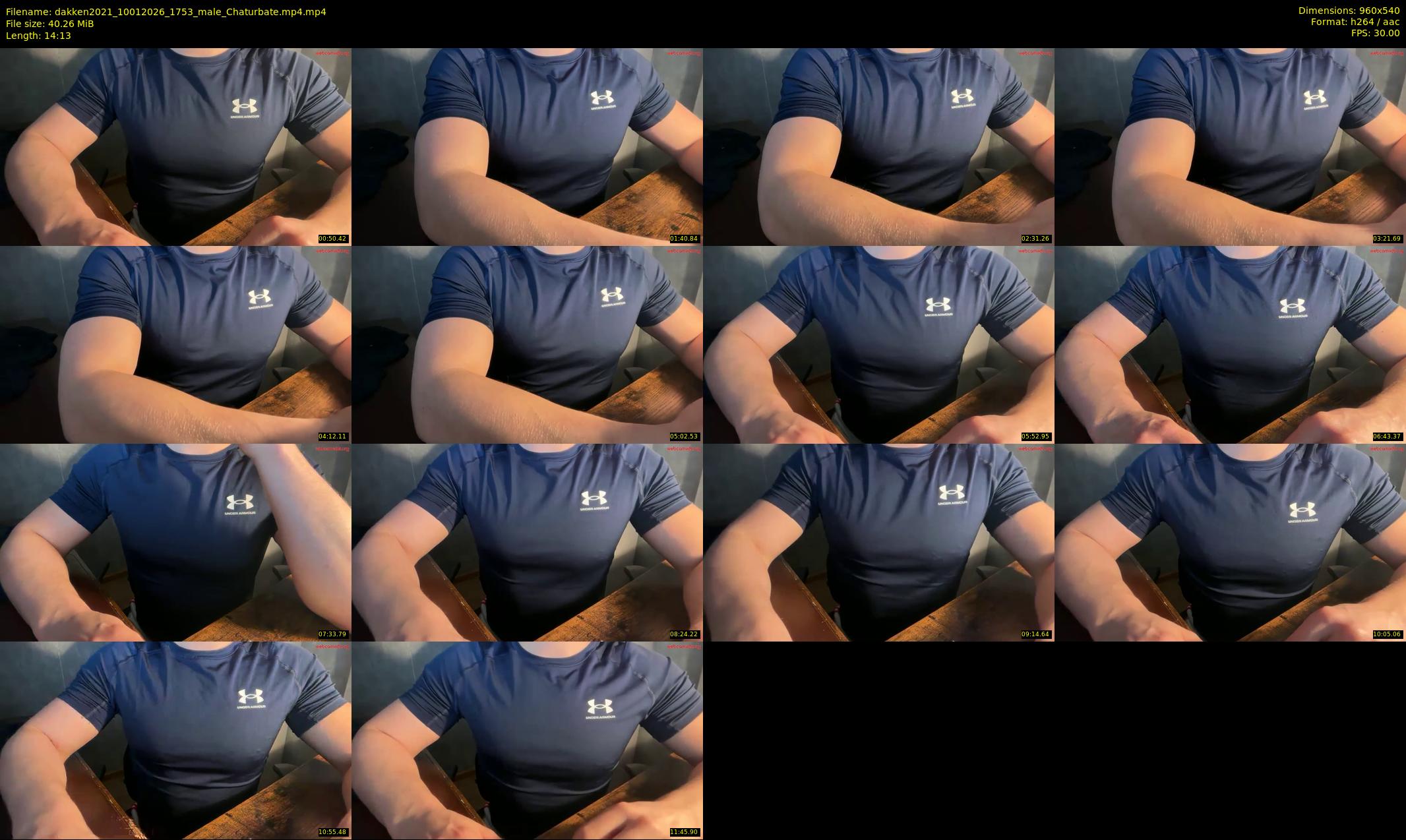 dakken2021 — 15 minute Chaturbate male cam show recording, 480p, Jan 10, 2026