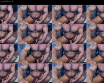 donk566 — 5 minute Chaturbate male cam show recording, 720p, Jan 10, 2026