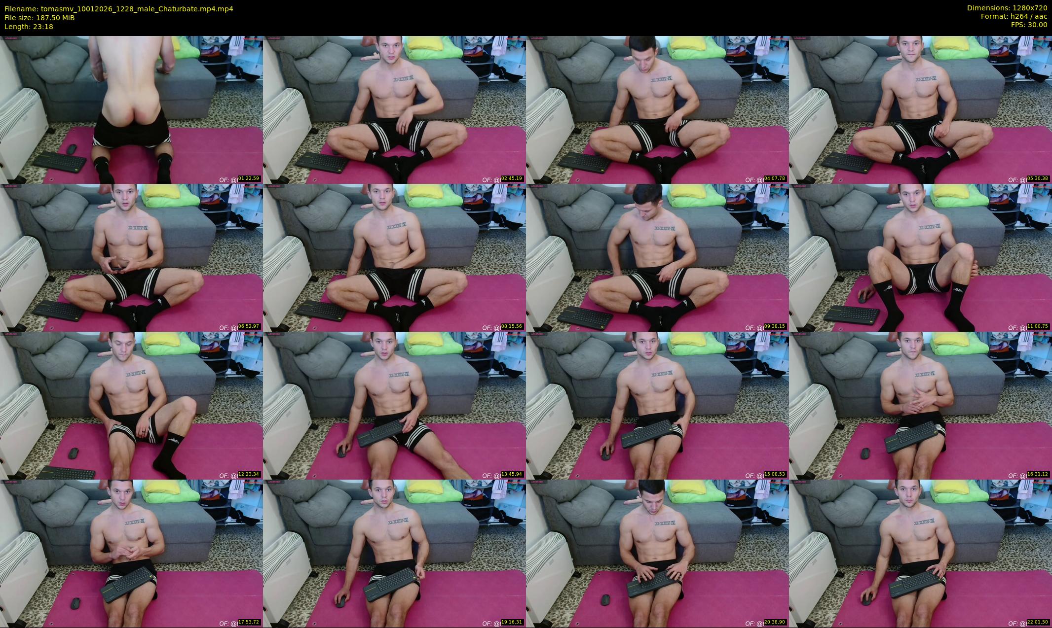 tomasmv — 24 minute Chaturbate male cam show recording, 720p, Jan 10, 2026