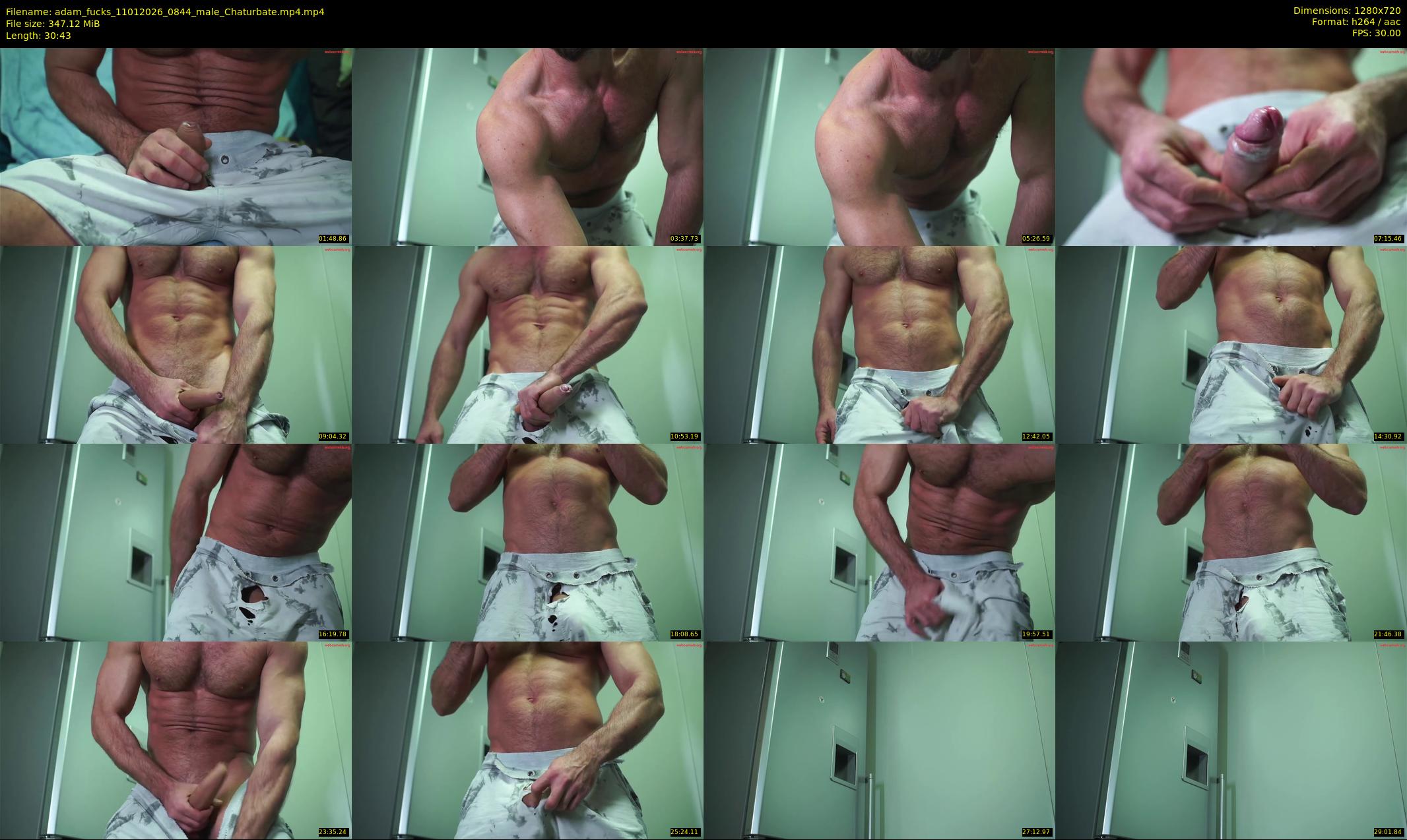 adam_fucks — 31 minute Chaturbate male cam show recording, 720p, Jan 11, 2026