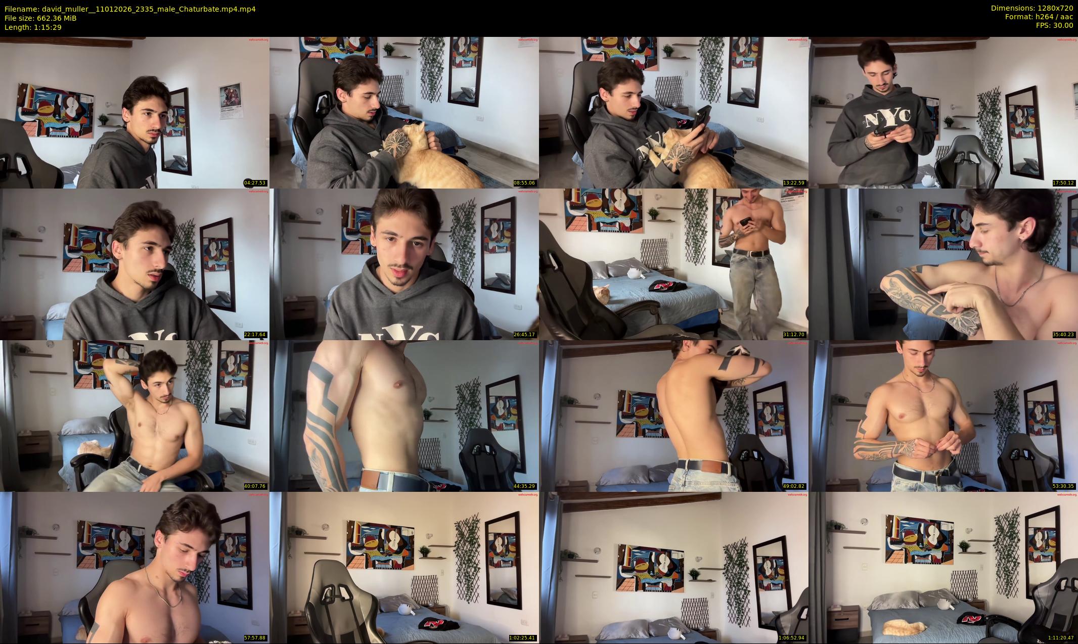 david_muller_ — 76 minute Chaturbate male cam show recording, 720p, Jan 11, 2026