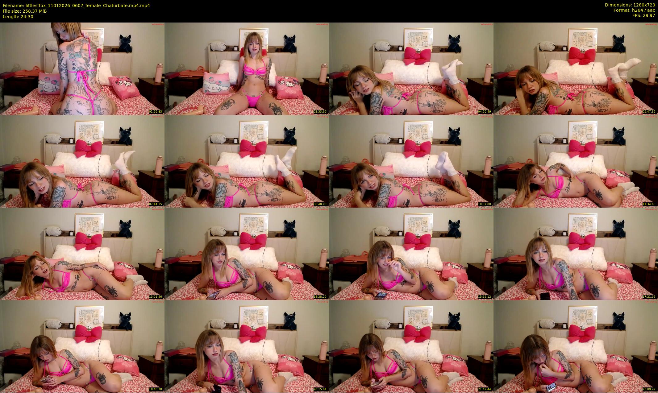 littlestfox — 25 minute Chaturbate female cam show recording, 720p, Jan 11, 2026