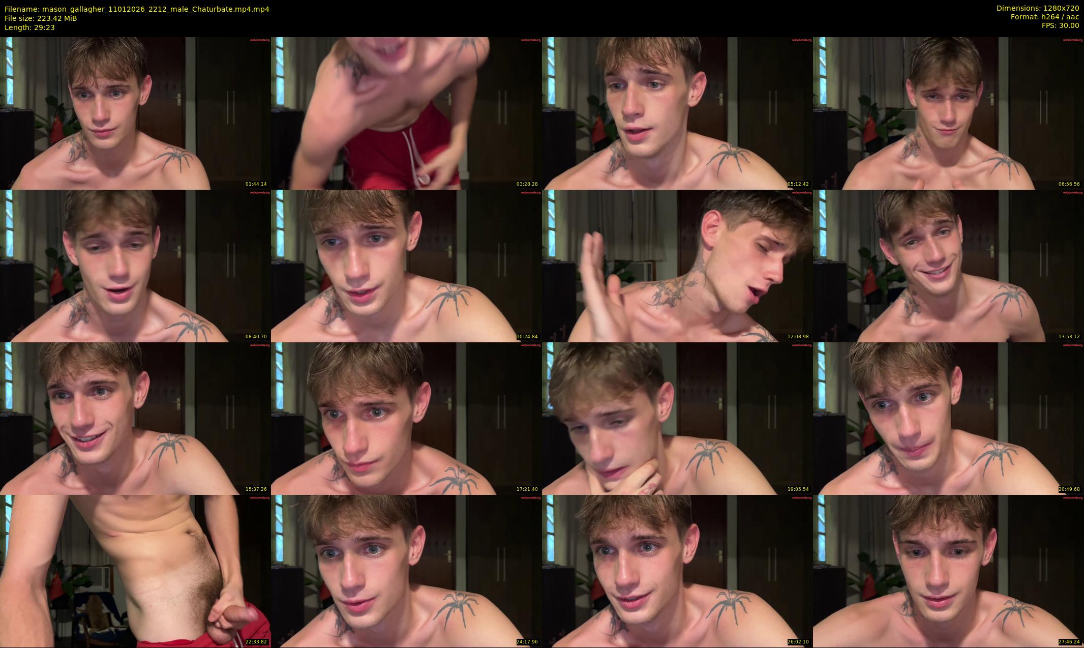 mason_gallagher — 30 minute Chaturbate male cam show recording, 720p, Jan 11, 2026