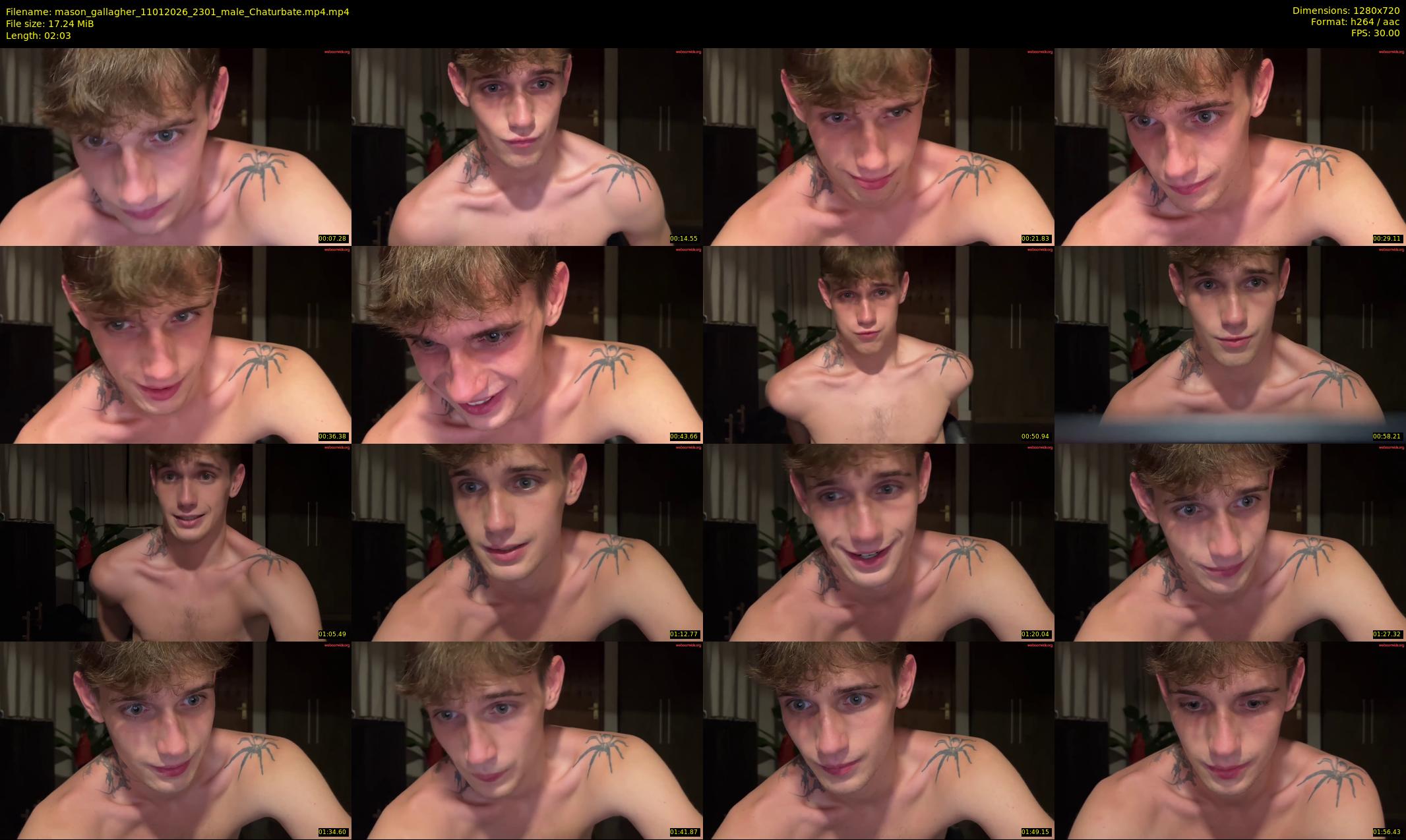 mason_gallagher — 3 minute Chaturbate male cam show recording, 720p, Jan 11, 2026