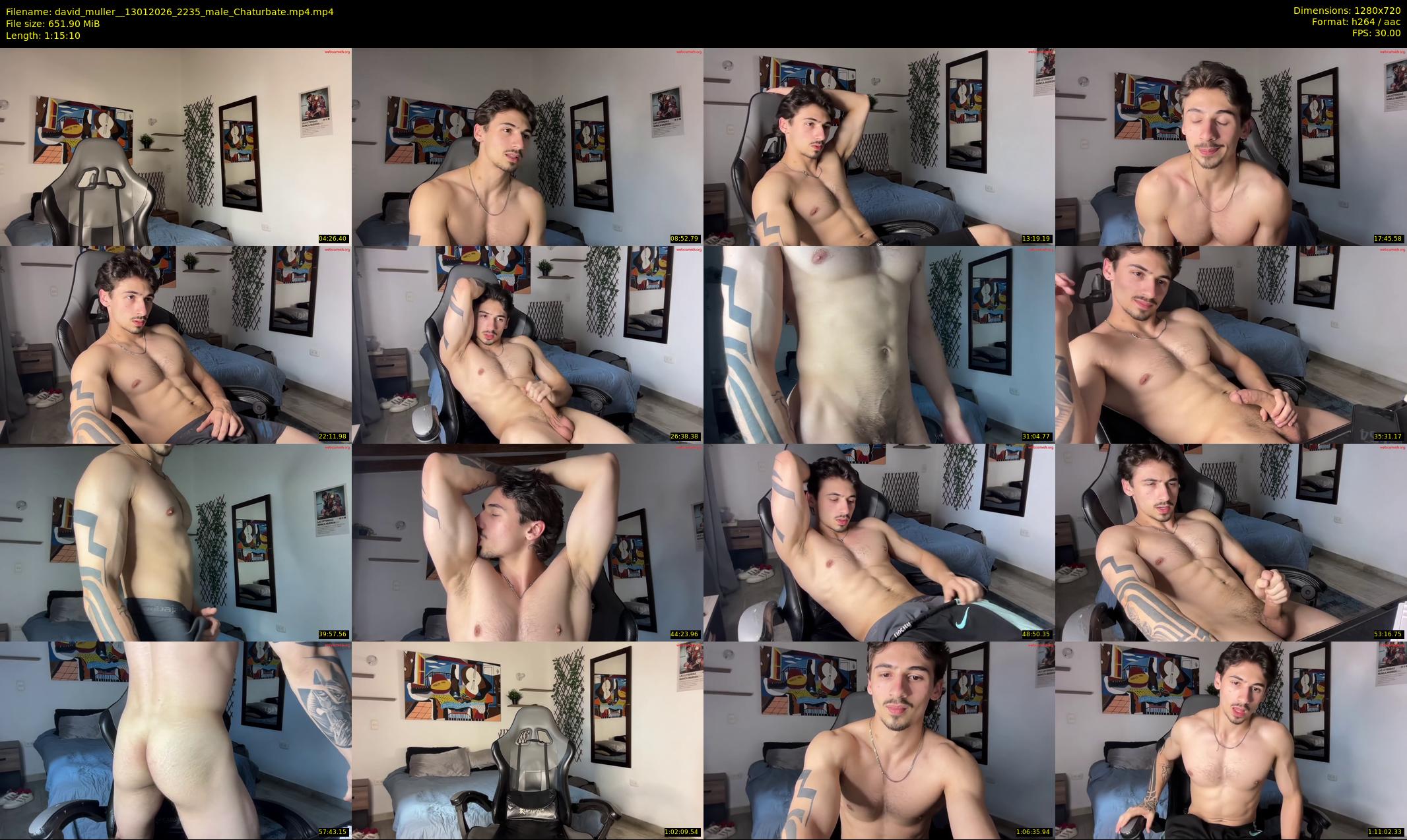 david_muller_ — 76 minute Chaturbate male cam show recording, 720p, Jan 13, 2026