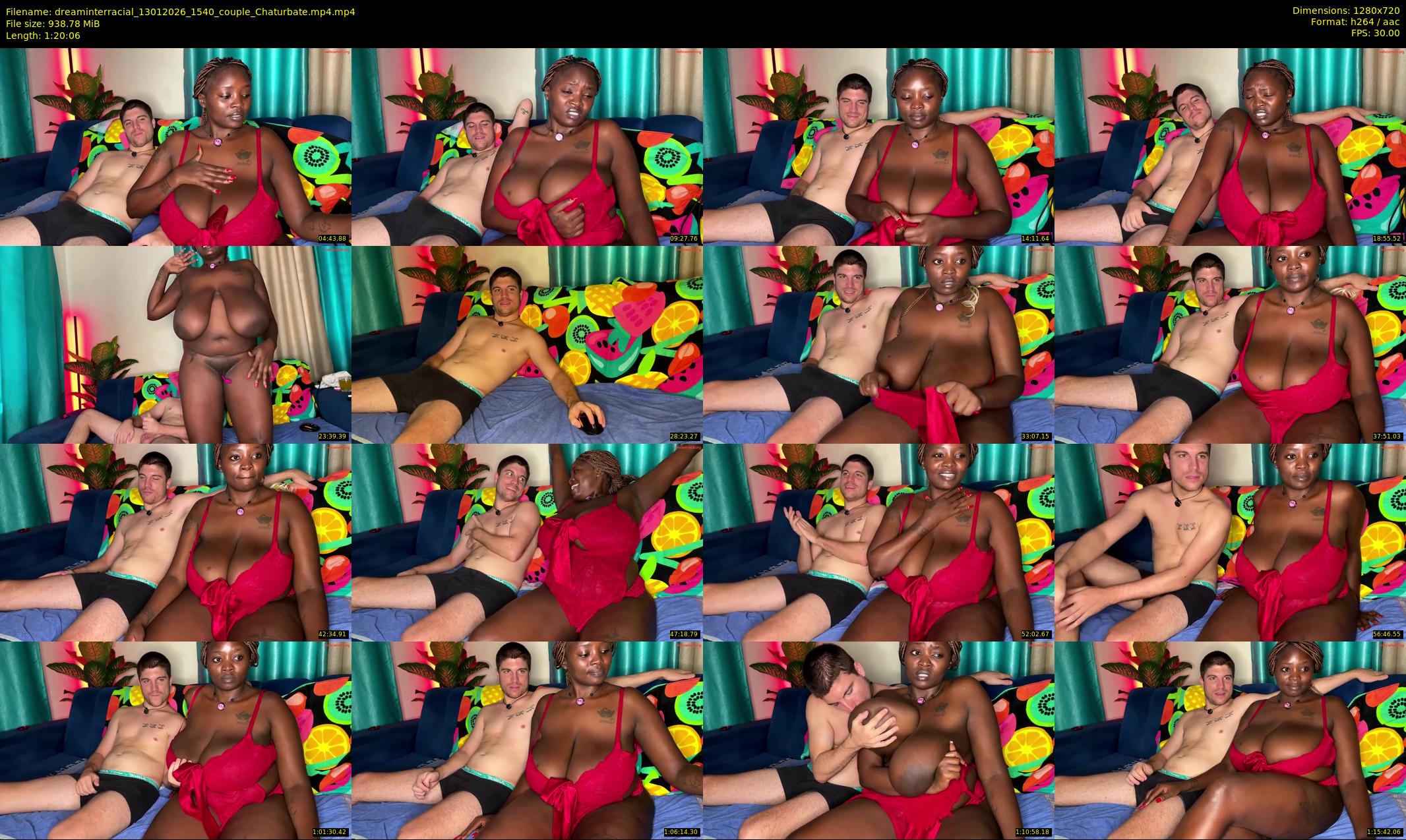 dreaminterracial — 81 minute Chaturbate couple cam show recording, 720p, Jan 13, 2026