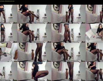 katedolly — 121 minute Chaturbate female cam show recording, 720p, Jan 13, 2026