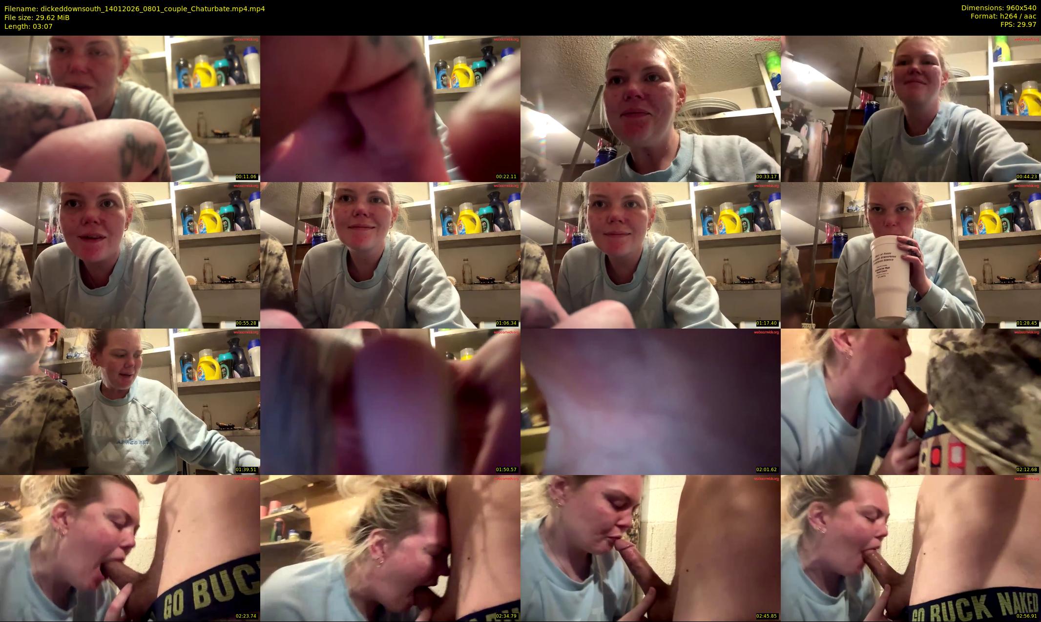 dickeddownsouth — 4 minute Chaturbate couple cam show recording, 480p, Jan 14, 2026