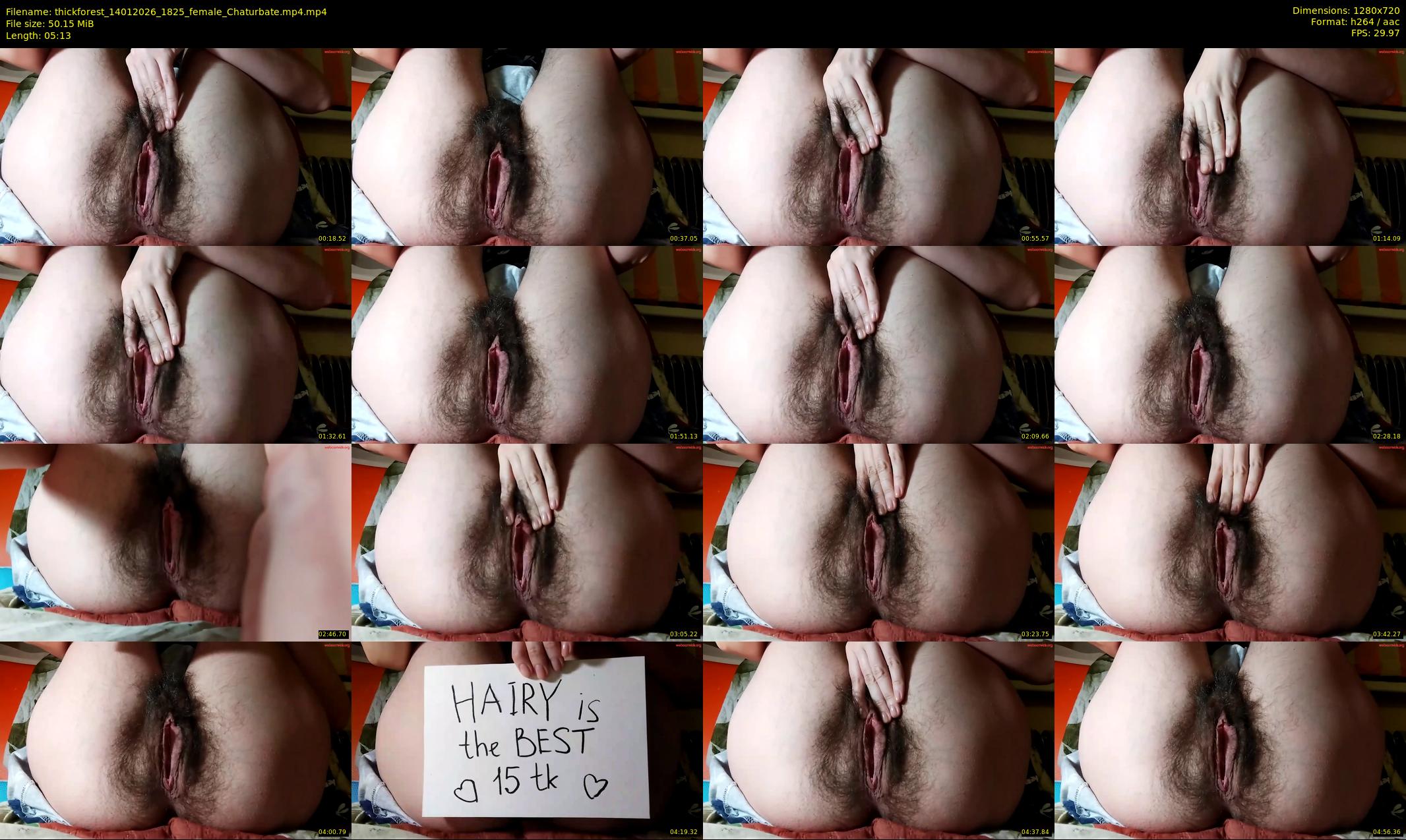 thickforest — 6 minute Chaturbate female cam show recording, 720p, Jan 14, 2026