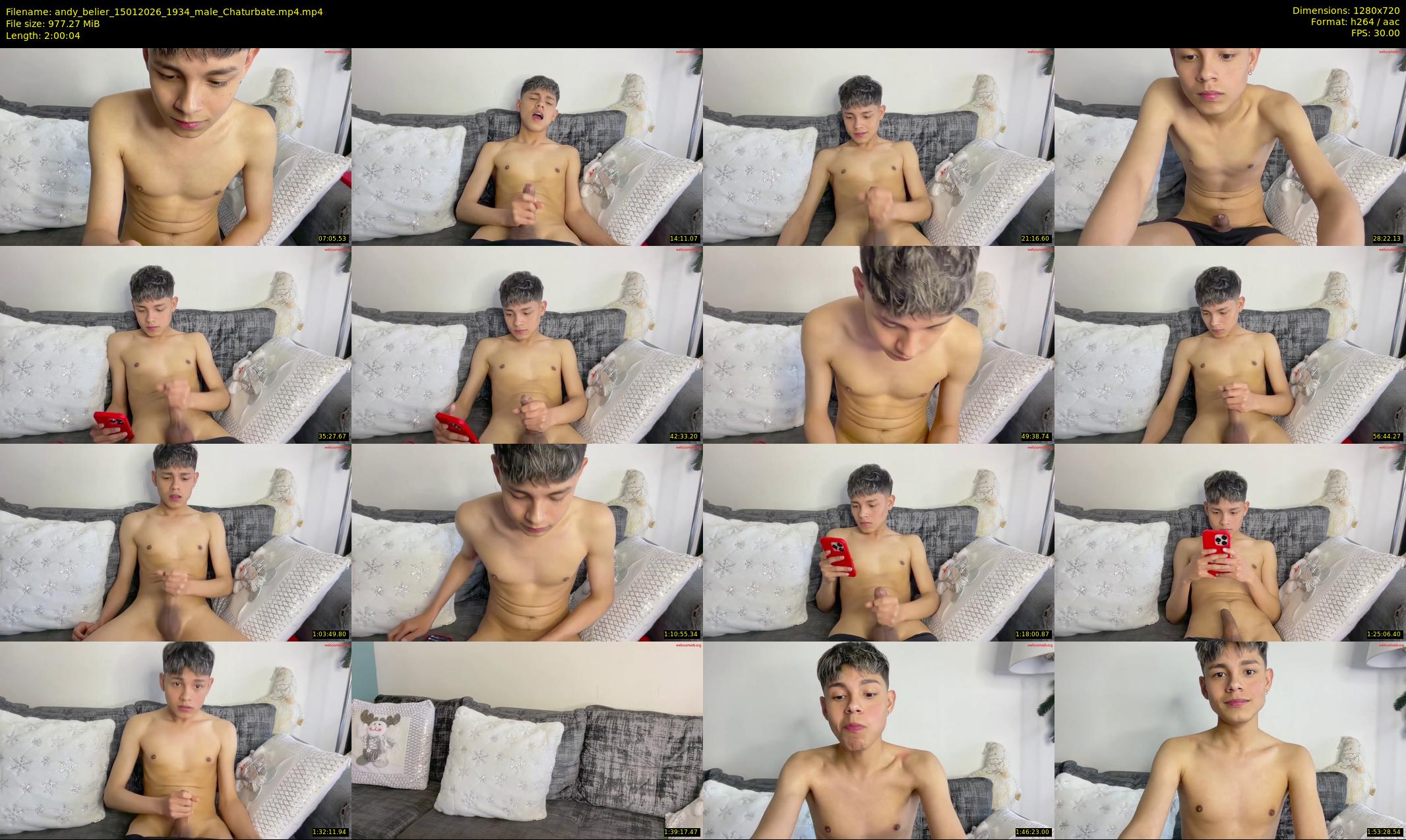 andy_belier — 121 minute Chaturbate male cam show recording, 720p, Jan 15, 2026