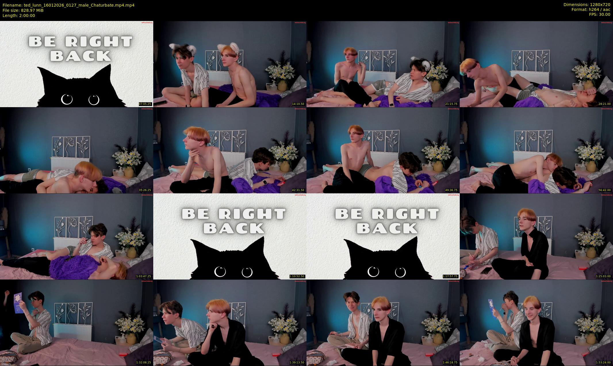 ted_lunn — 120 minute Chaturbate male cam show recording, 720p, Jan 16, 2026
