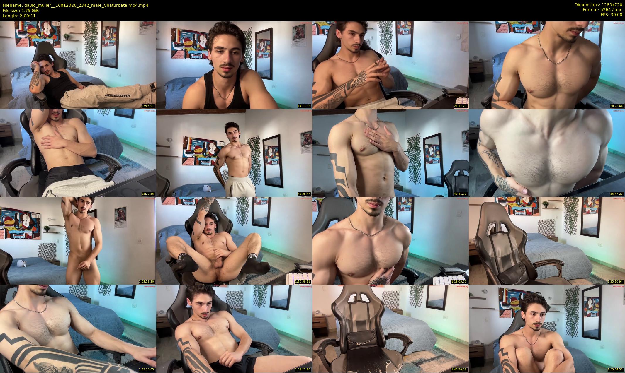 david_muller_ — 121 minute Chaturbate male cam show recording, 720p, Jan 16, 2026