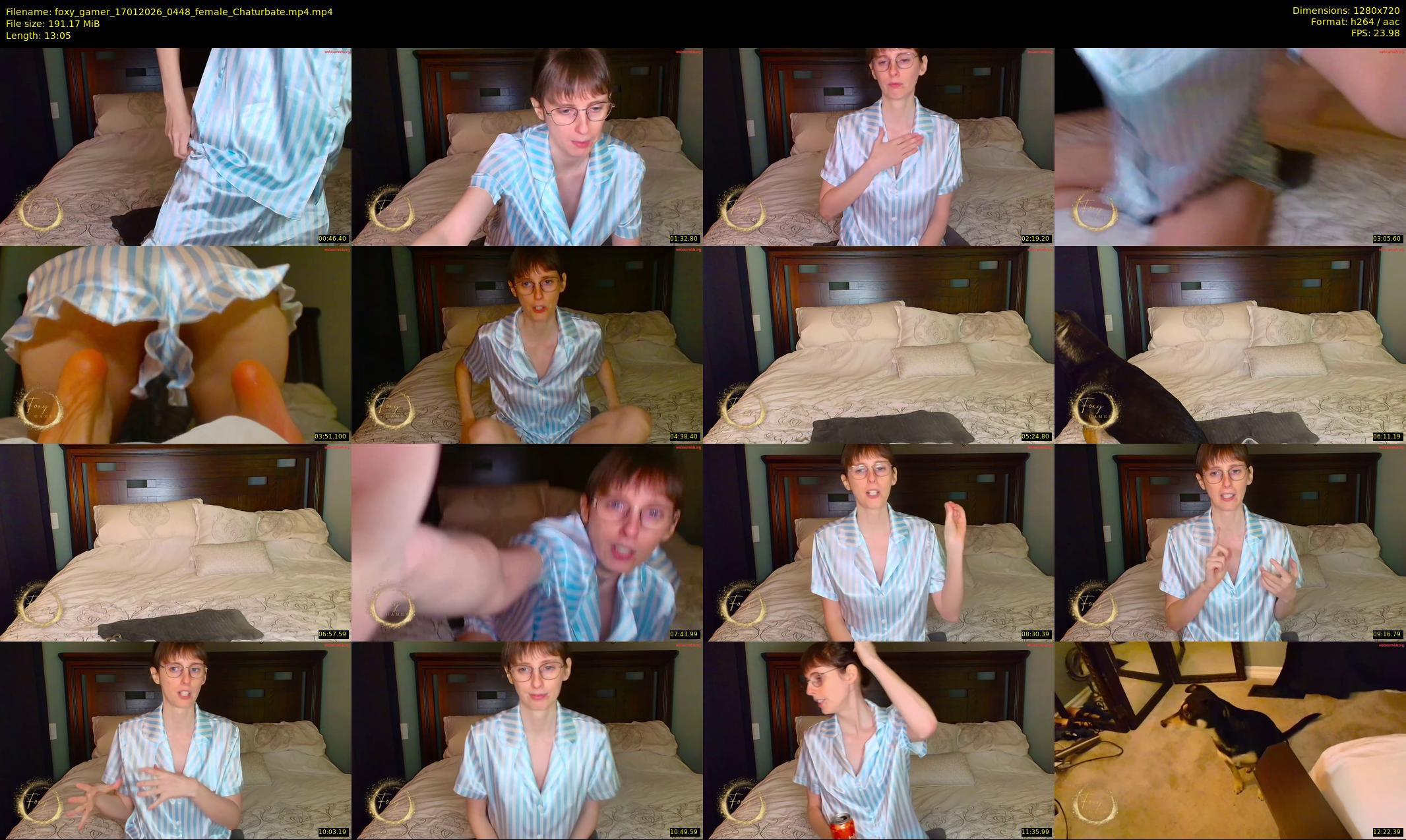 foxy_gamer — 14 minute Chaturbate female cam show recording, 720p, Jan 17, 2026