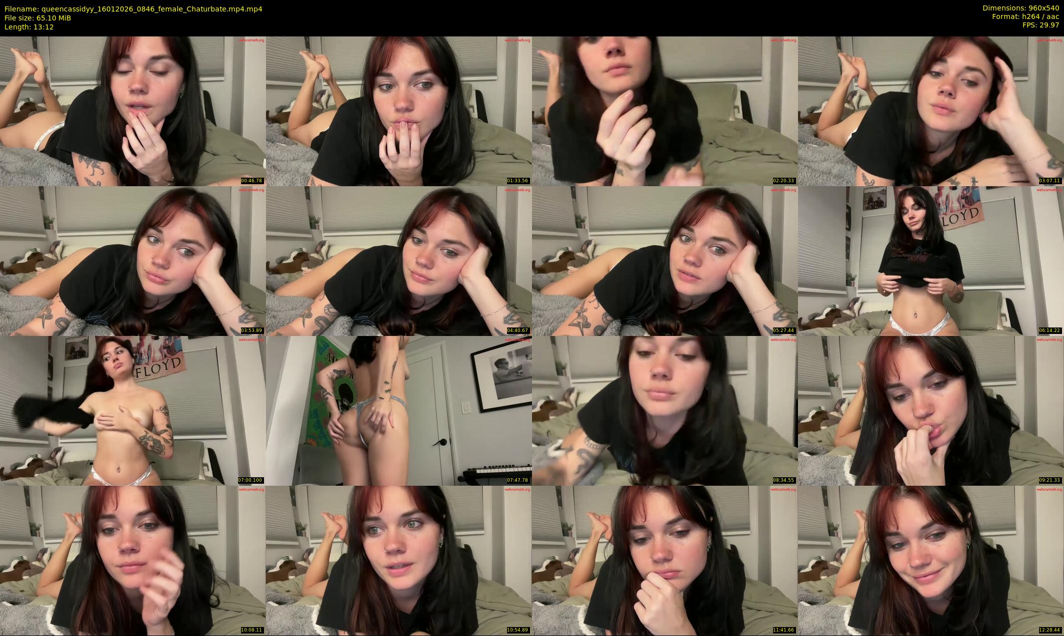 queencassidyy — 14 minute Chaturbate female cam show recording, 480p, Jan 16, 2026