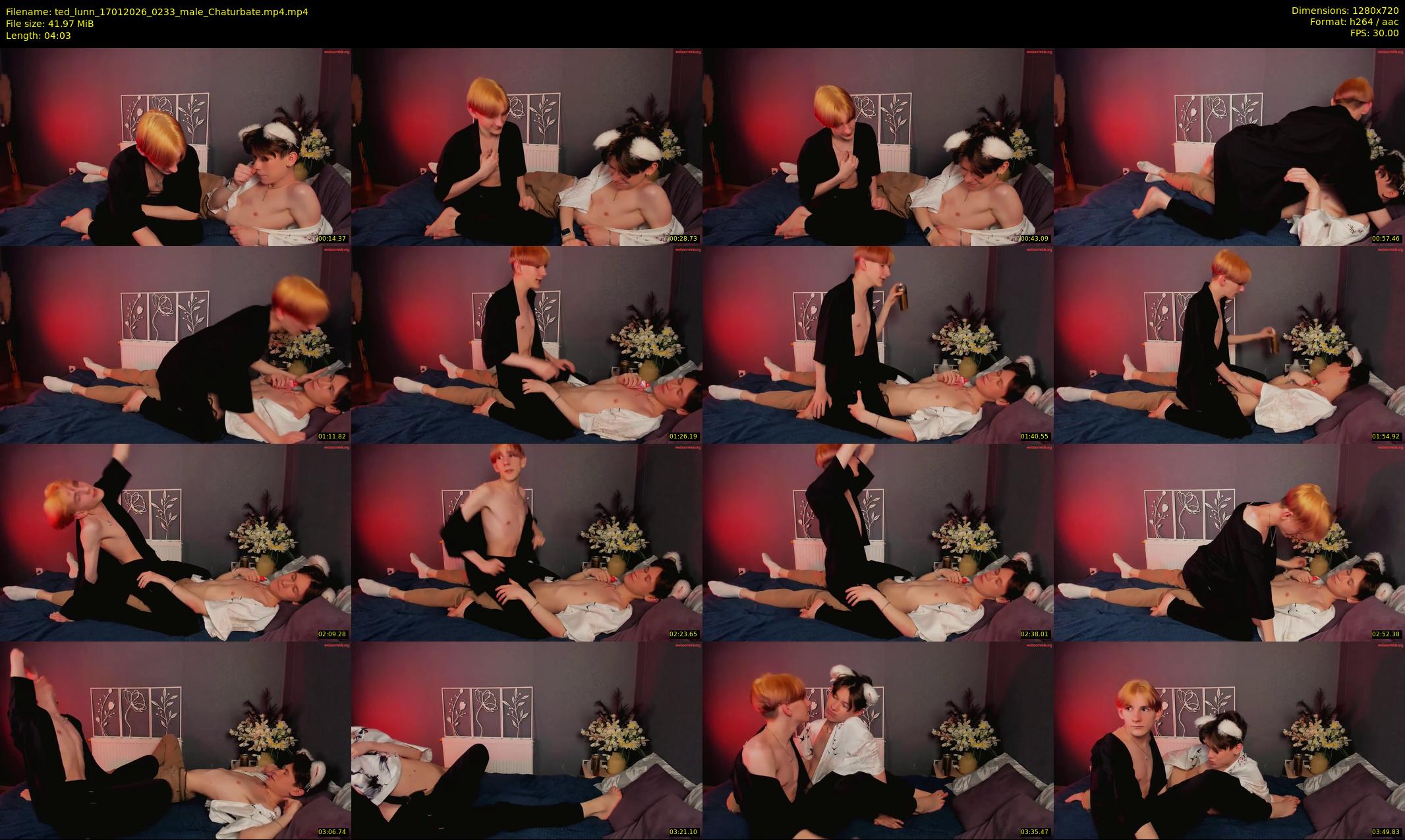 ted_lunn — 5 minute Chaturbate male cam show recording, 720p, Jan 17, 2026