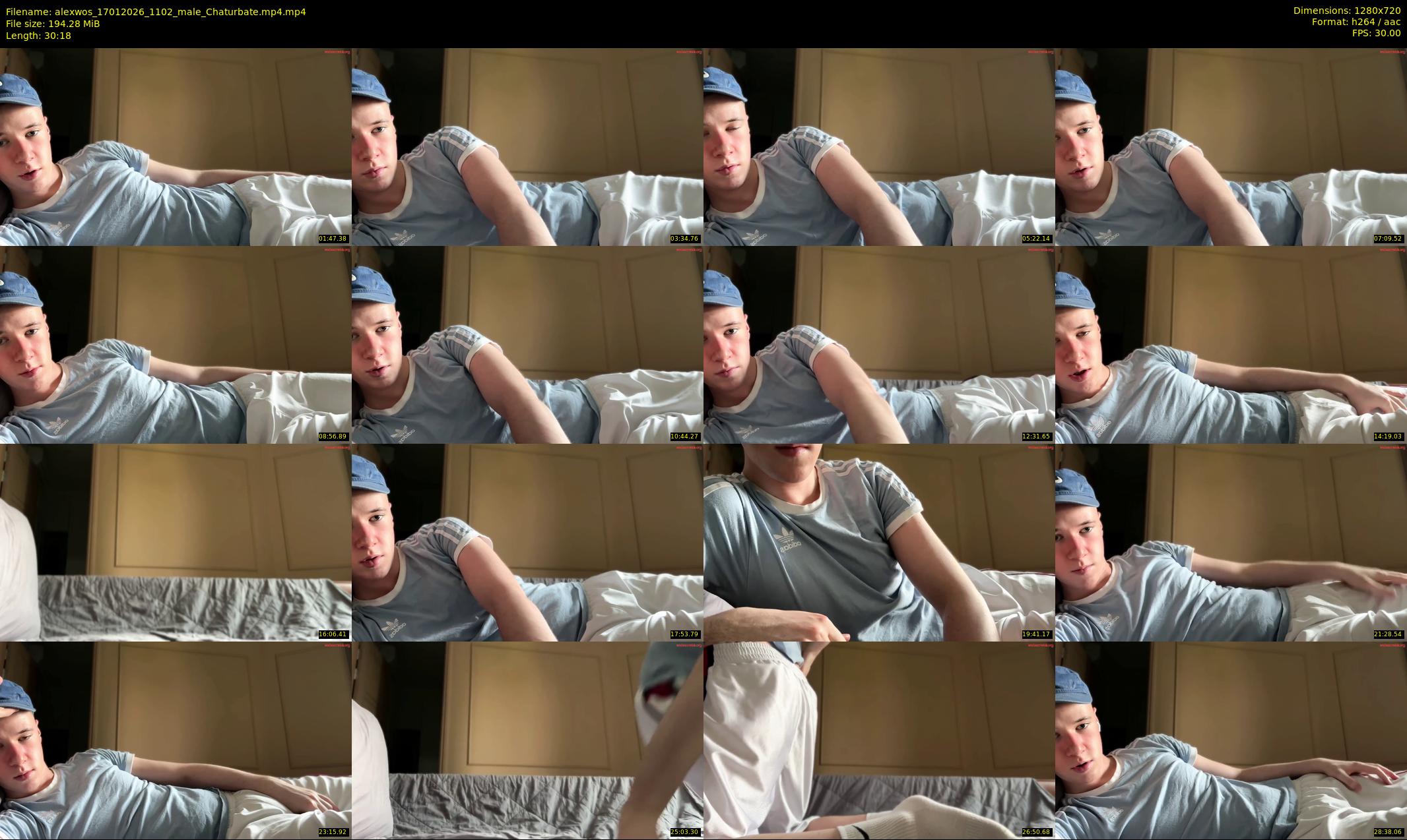 alexwos — 31 minute Chaturbate male cam show recording, 720p, Jan 17, 2026