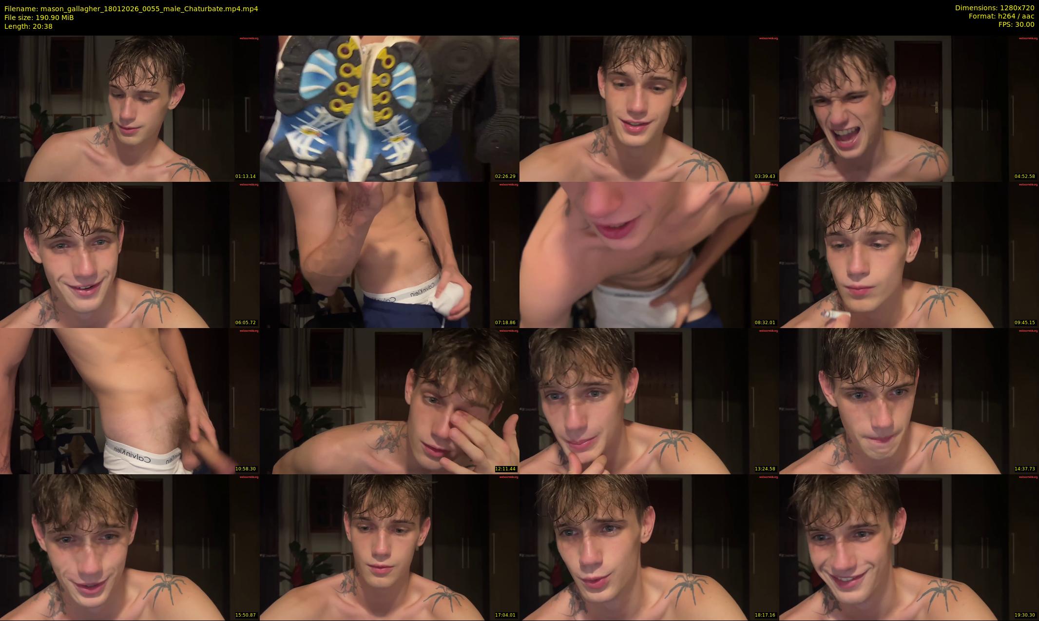 mason_gallagher — 21 minute Chaturbate male cam show recording, 720p, Jan 18, 2026