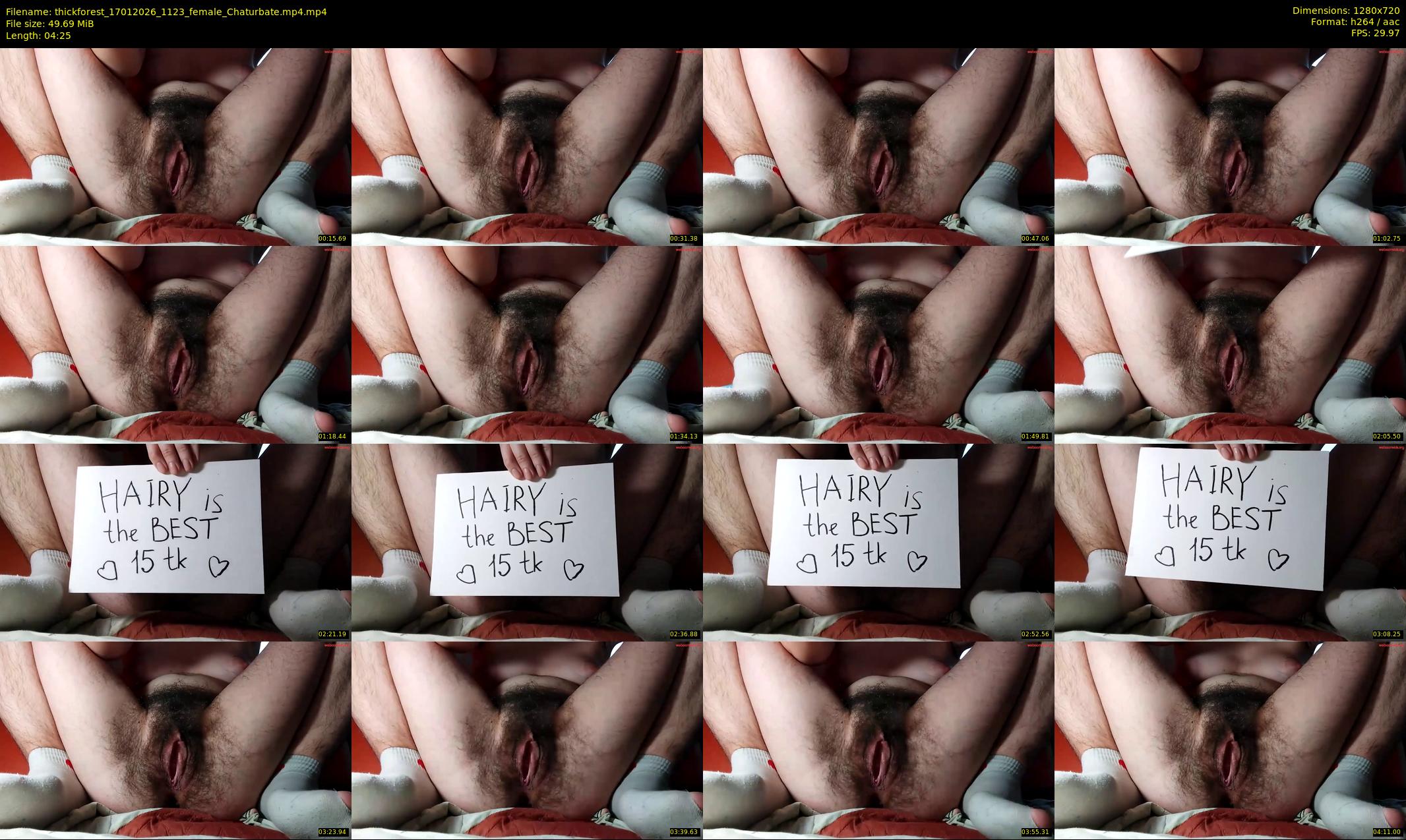 thickforest — 5 minute Chaturbate female cam show recording, 720p, Jan 17, 2026