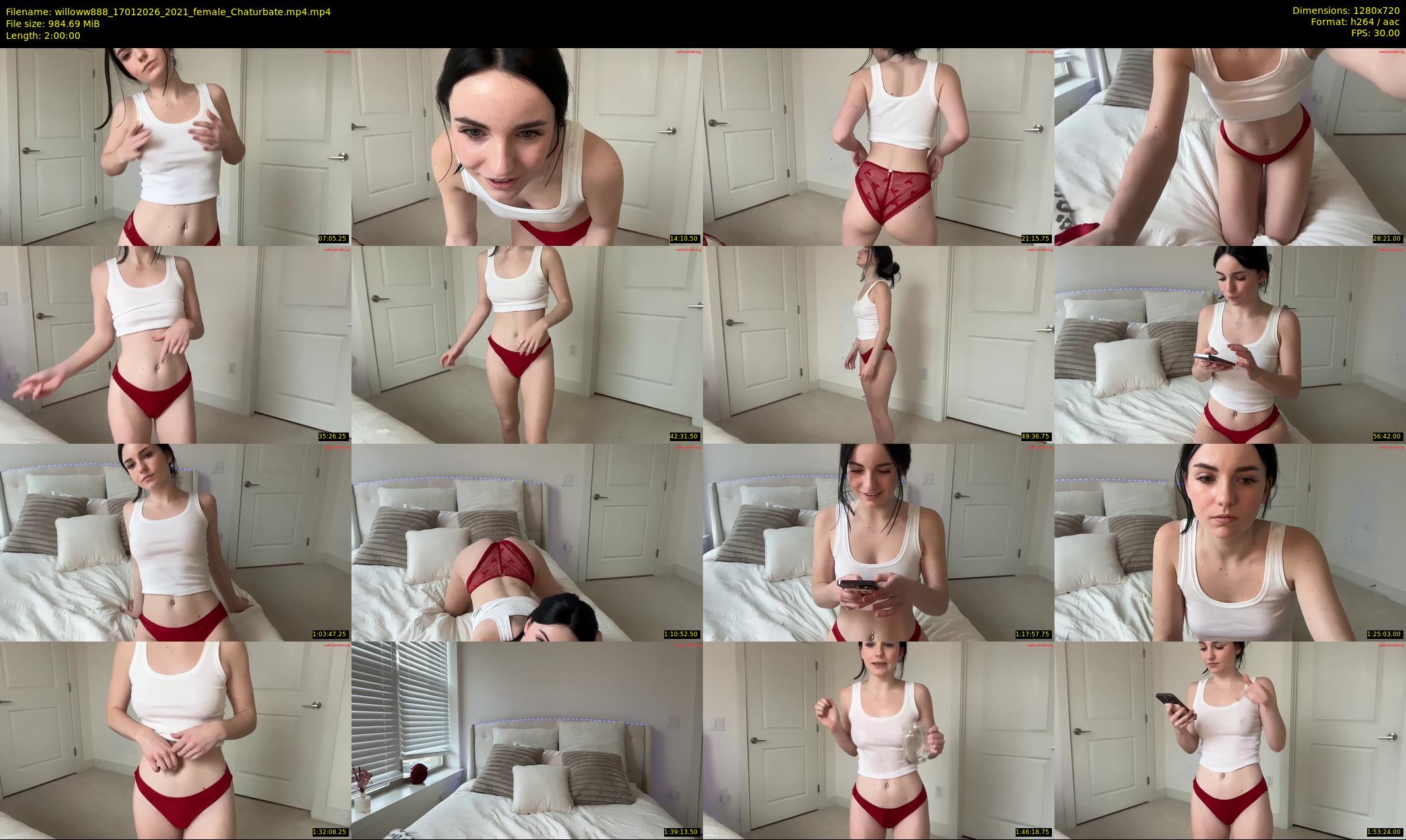 willoww888 — 120 minute Chaturbate female cam show recording, 720p, Jan 17, 2026