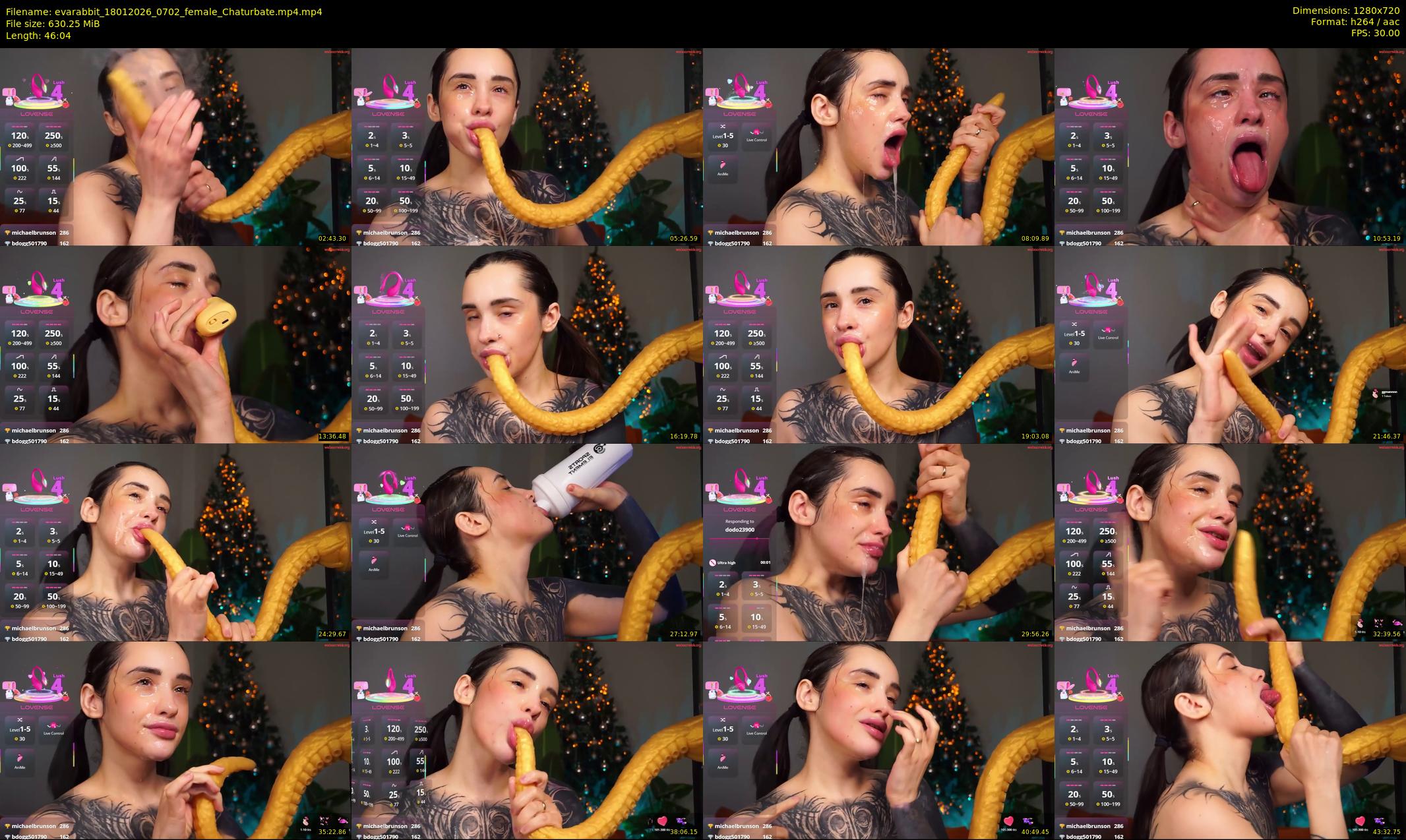 evarabbit — 47 minute Chaturbate female cam show recording, 720p, Jan 18, 2026