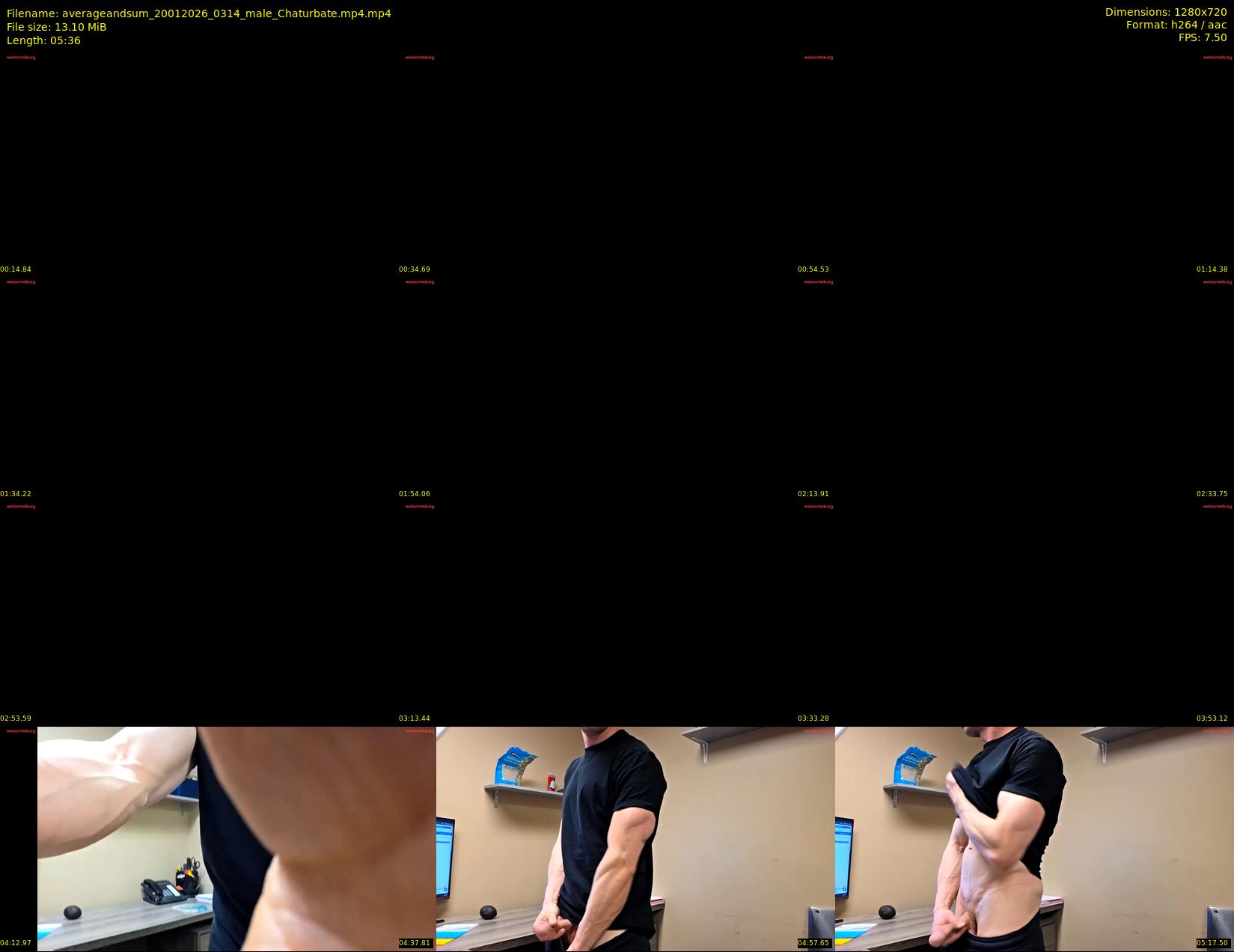 averageandsum — 6 minute Chaturbate male cam show recording, 720p, Jan 20, 2026