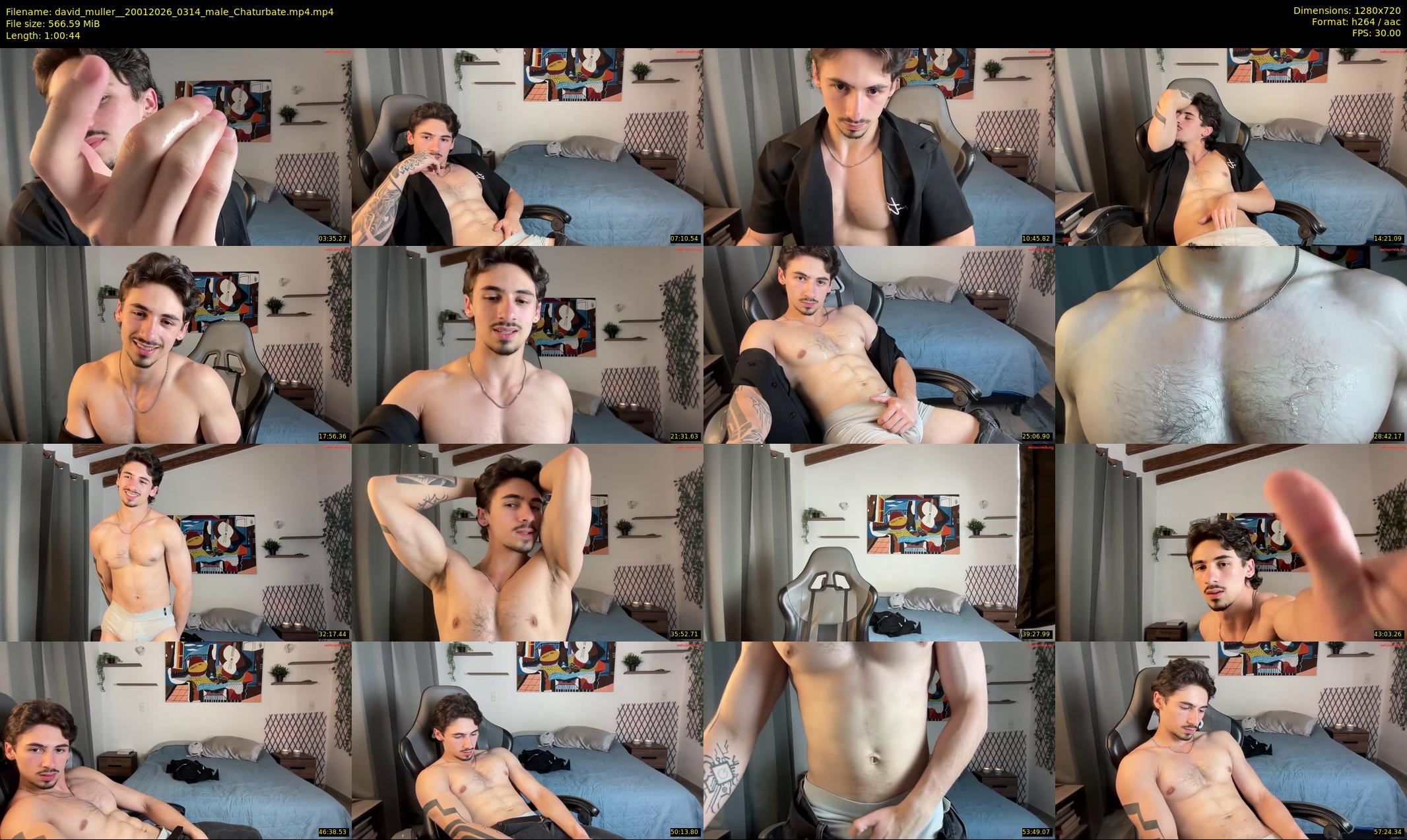 david_muller_ — 61 minute Chaturbate male cam show recording, 720p, Jan 20, 2026
