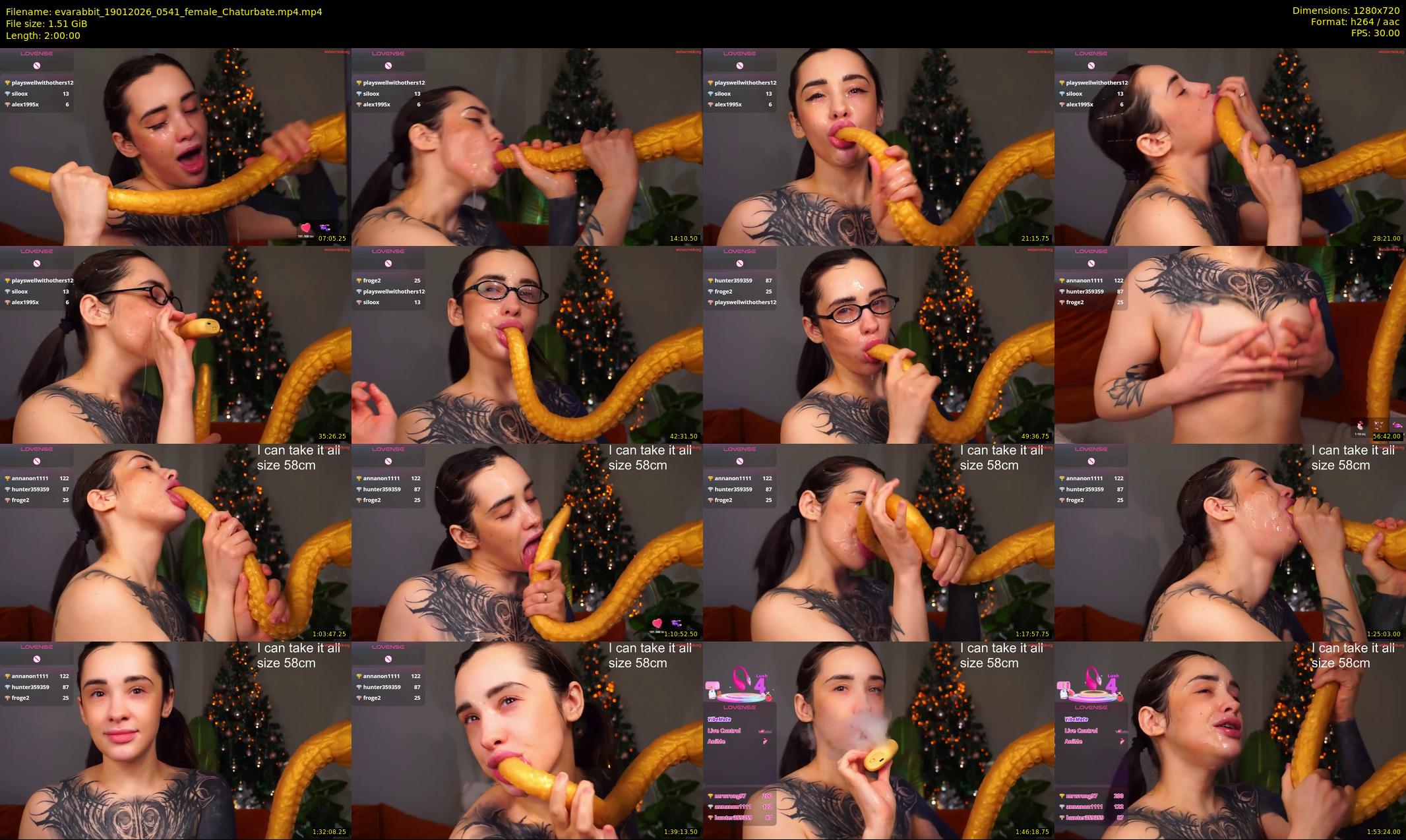 evarabbit — 120 minute Chaturbate female cam show recording, 720p, Jan 19, 2026