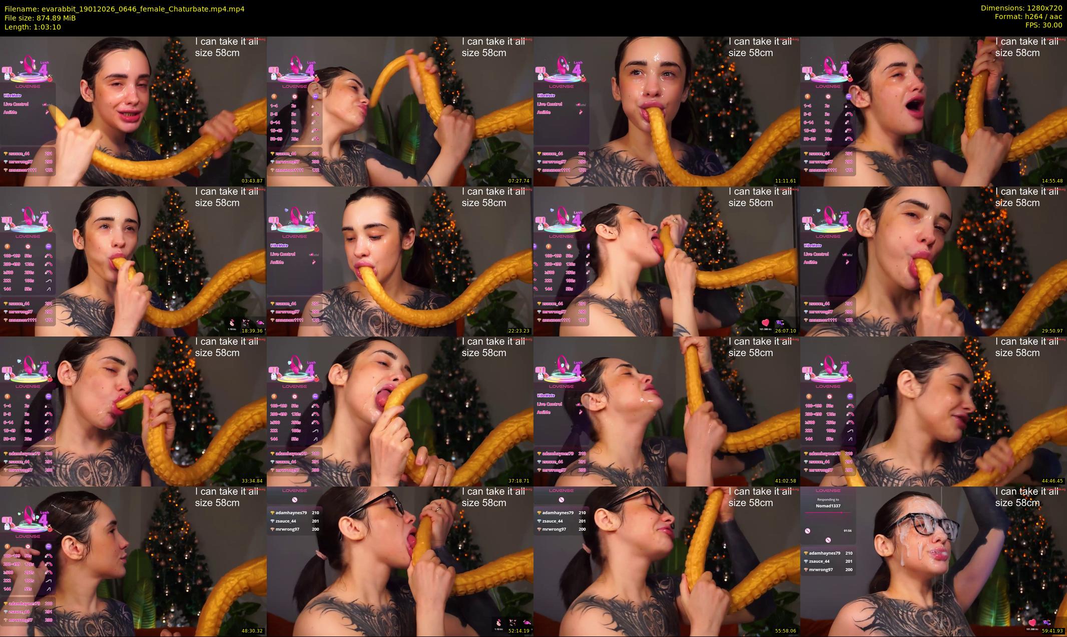 evarabbit — 64 minute Chaturbate female cam show recording, 720p, Jan 19, 2026