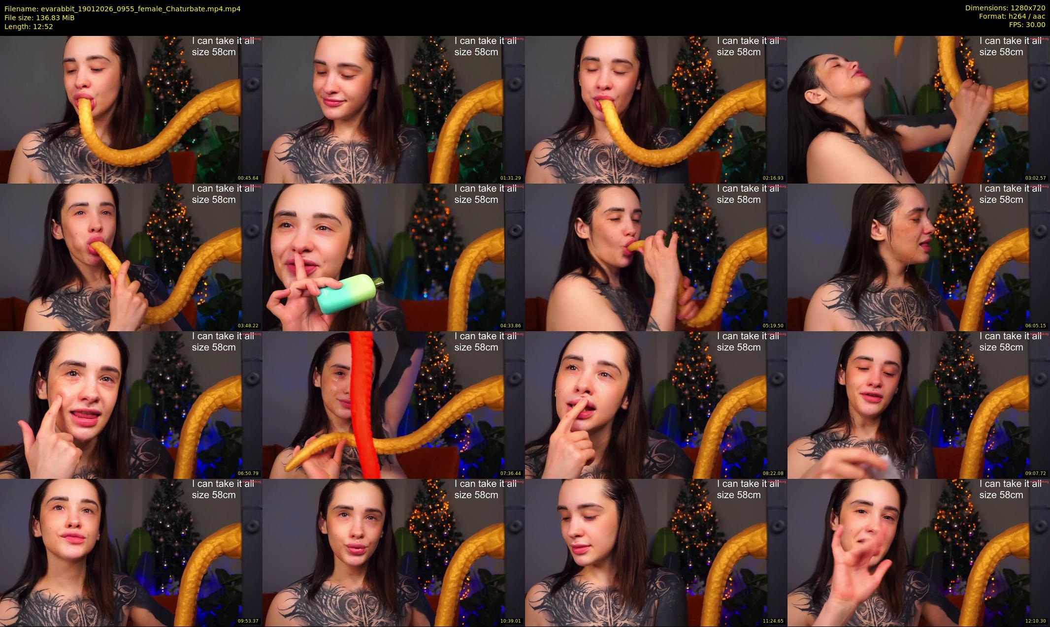 evarabbit — 13 minute Chaturbate female cam show recording, 720p, Jan 19, 2026
