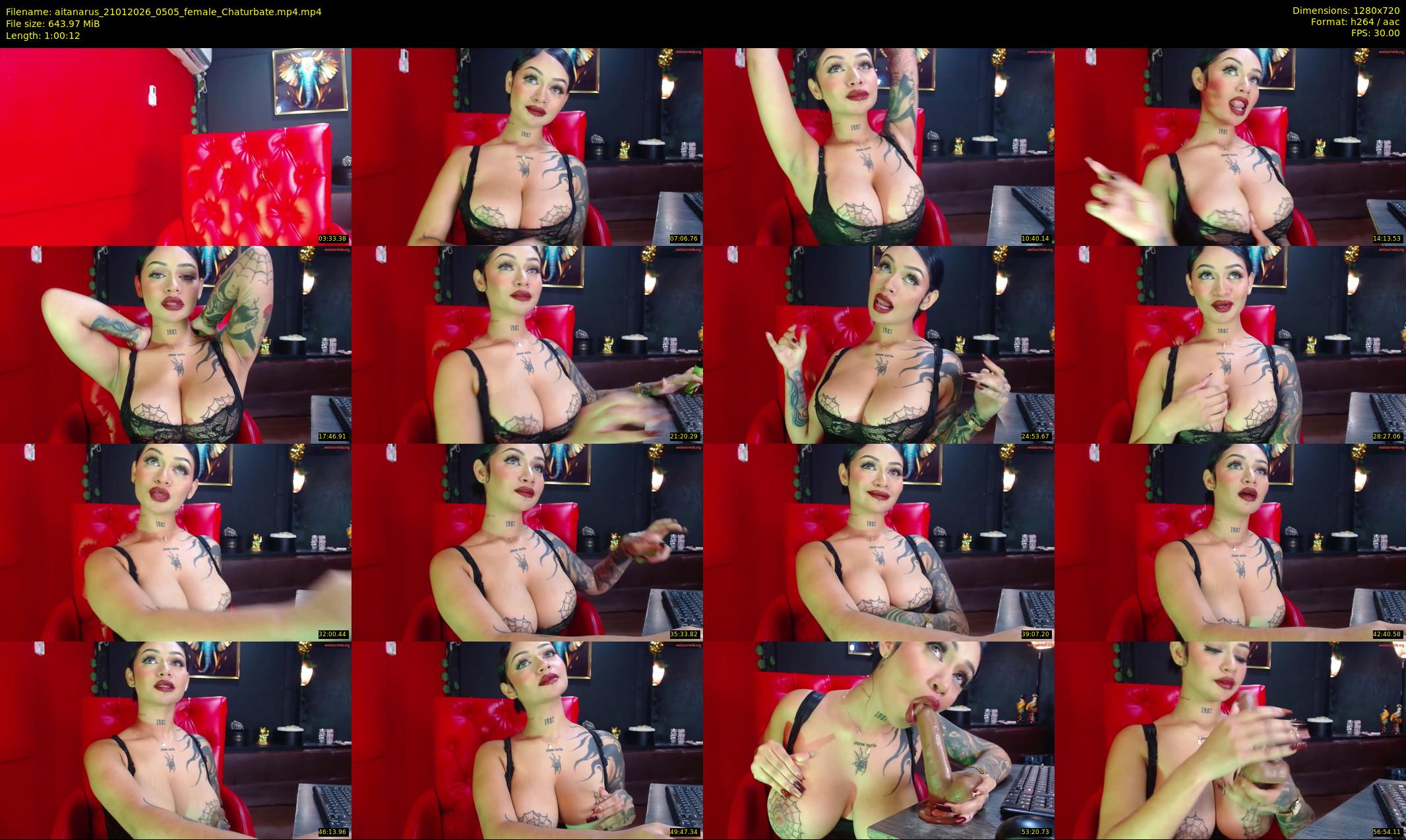 aitanarus — 61 minute Chaturbate female cam show recording, 720p, Jan 21, 2026