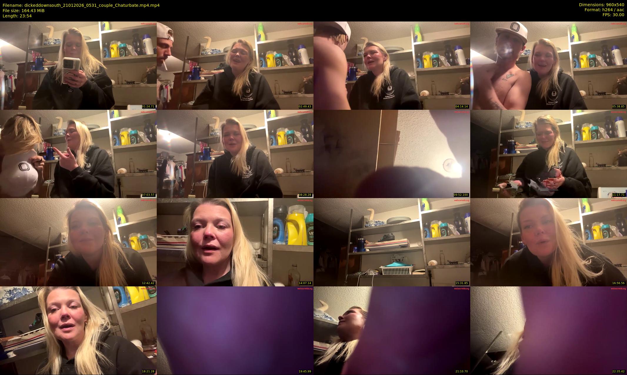 dickeddownsouth — 24 minute Chaturbate couple cam show recording, 480p, Jan 21, 2026