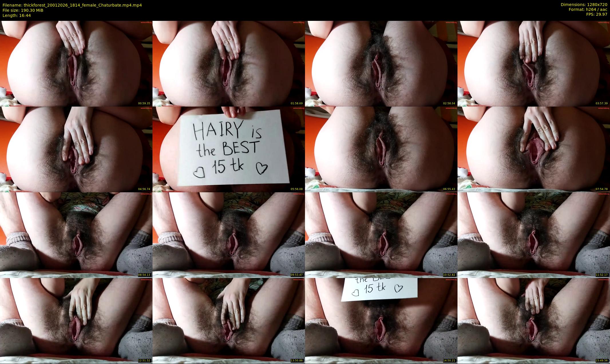 thickforest — 17 minute Chaturbate female cam show recording, 720p, Jan 20, 2026