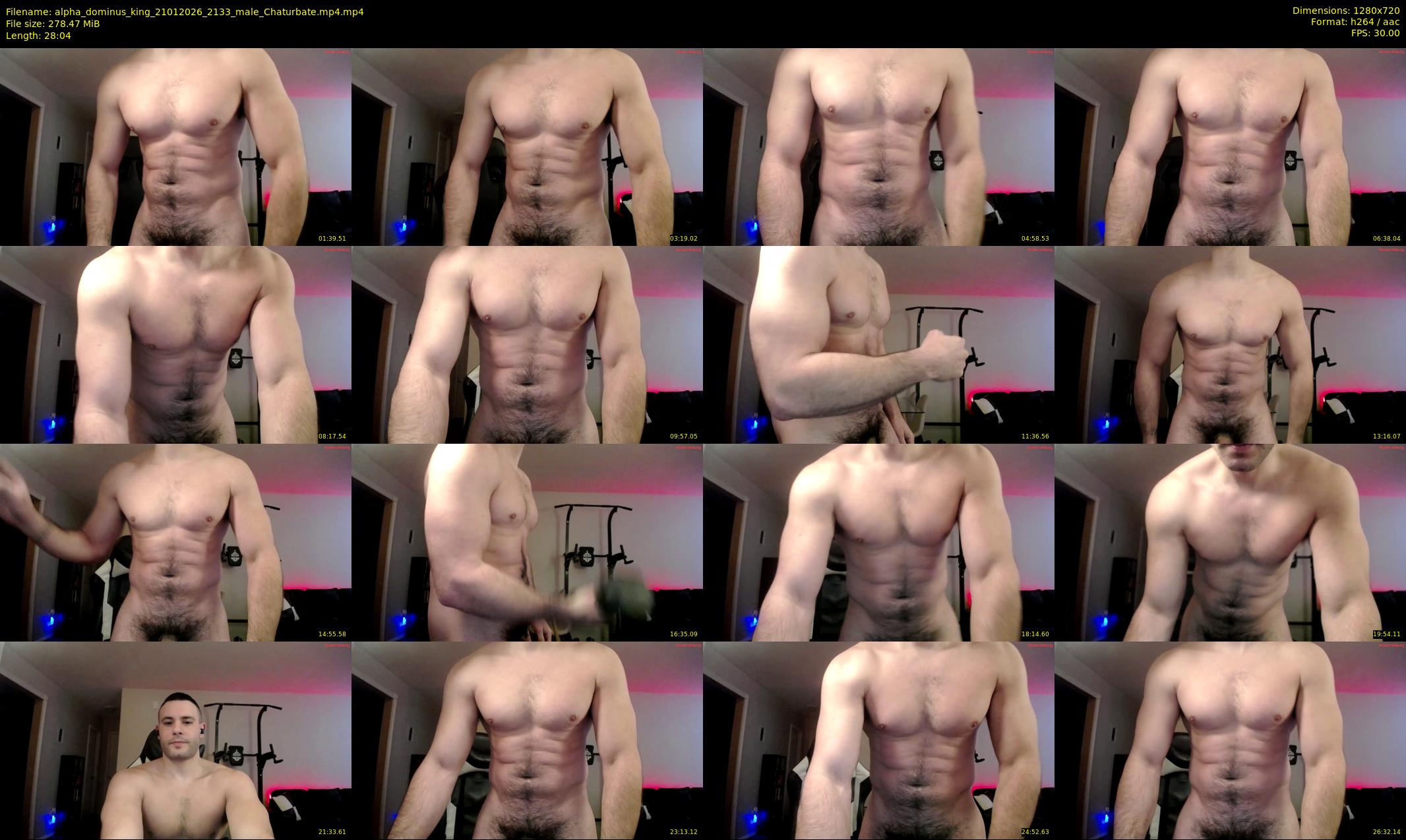 alpha_dominus_king — 29 minute Chaturbate male cam show recording, 720p, Jan 21, 2026