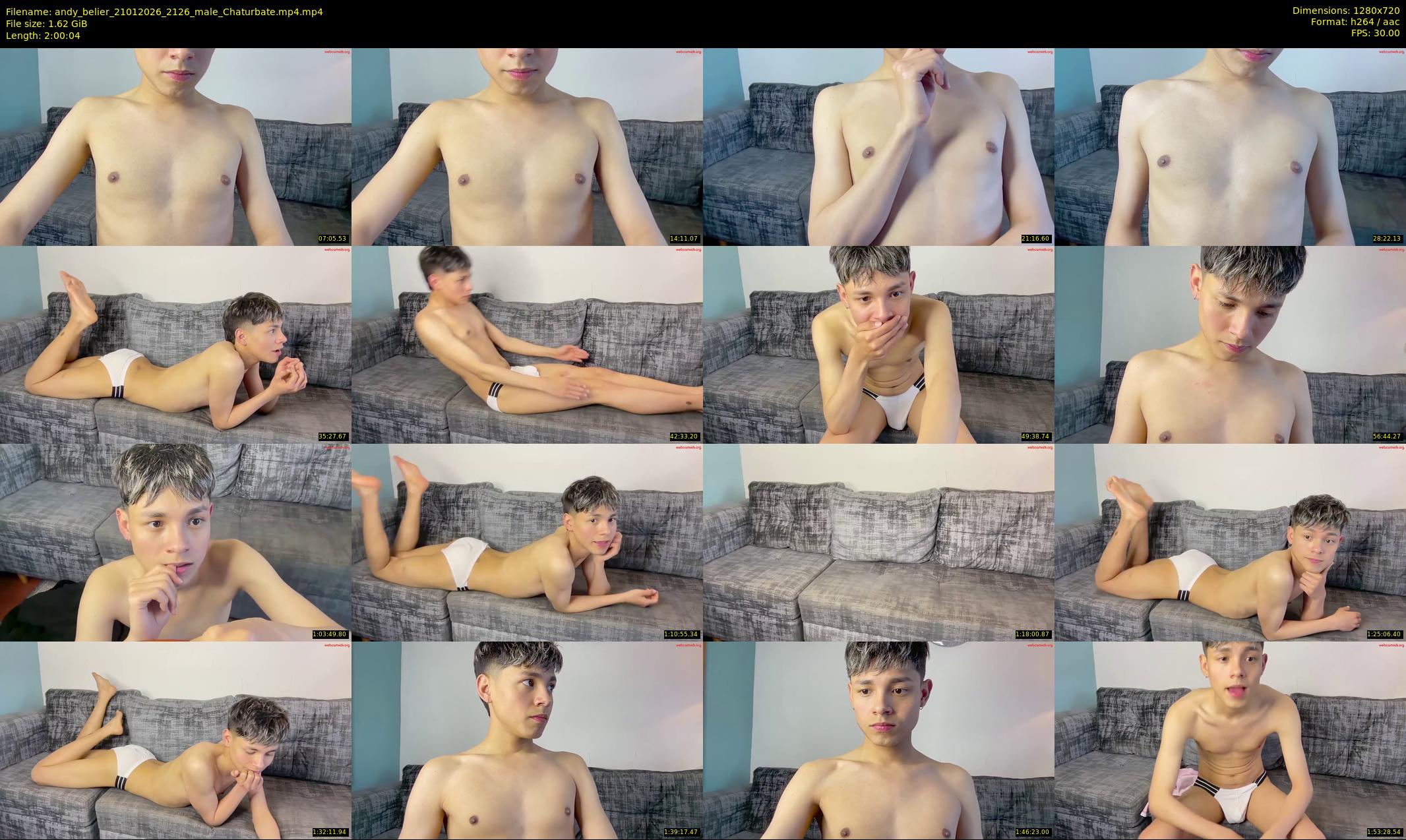 andy_belier — 121 minute Chaturbate male cam show recording, 720p, Jan 21, 2026