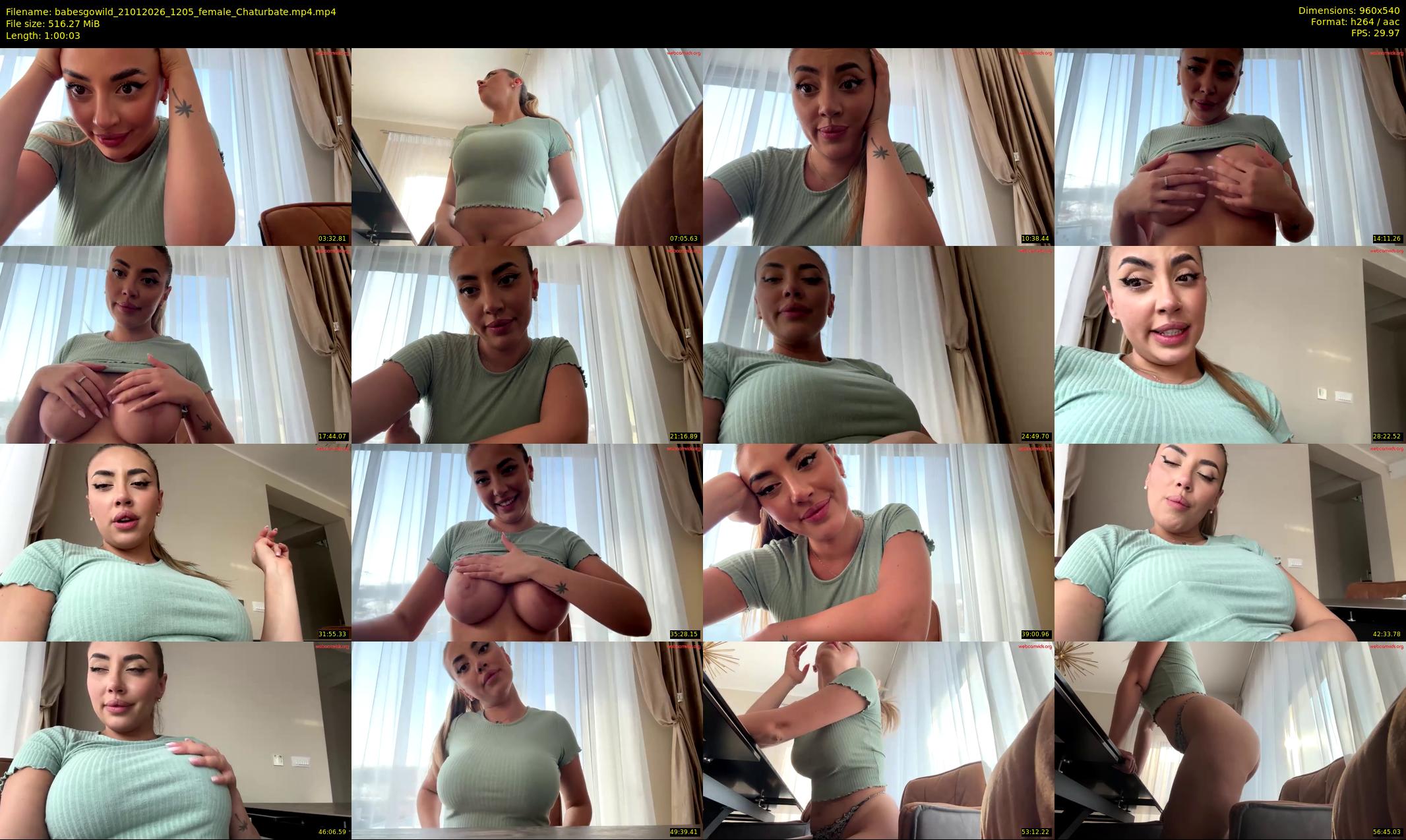 babesgowild — 61 minute Chaturbate couple cam show recording, 480p, Jan 21, 2026
