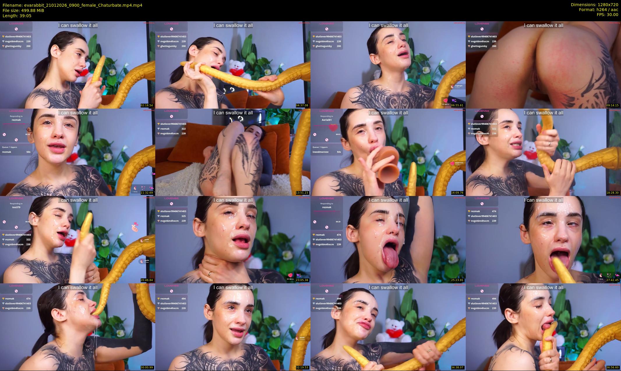 evarabbit — 40 minute Chaturbate female cam show recording, 720p, Jan 21, 2026