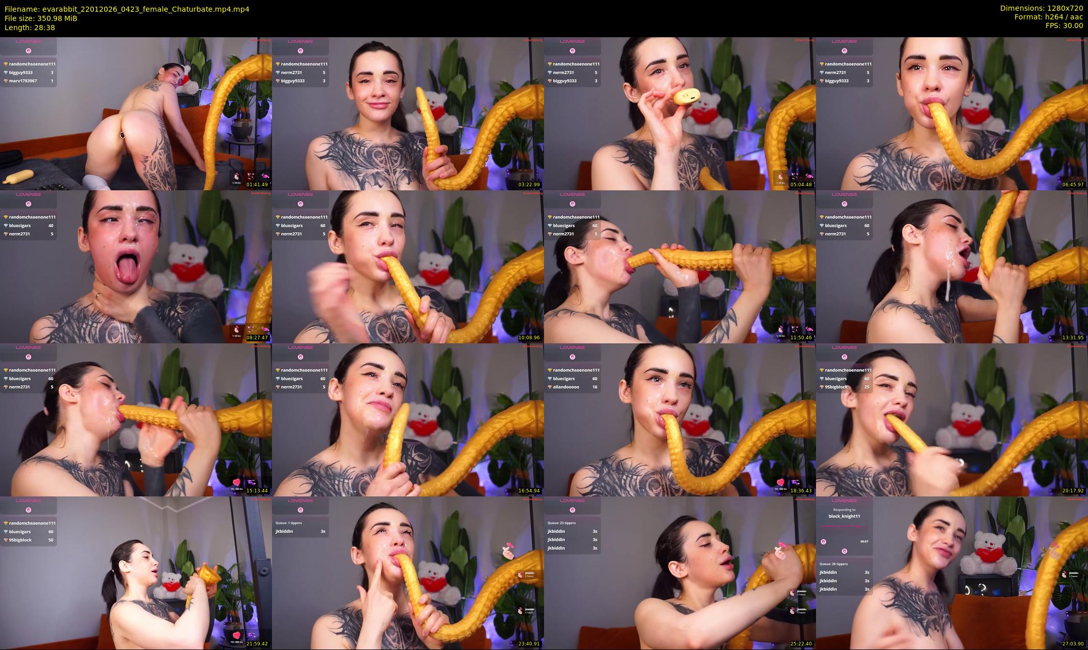 evarabbit — 29 minute Chaturbate female cam show recording, 720p, Jan 22, 2026