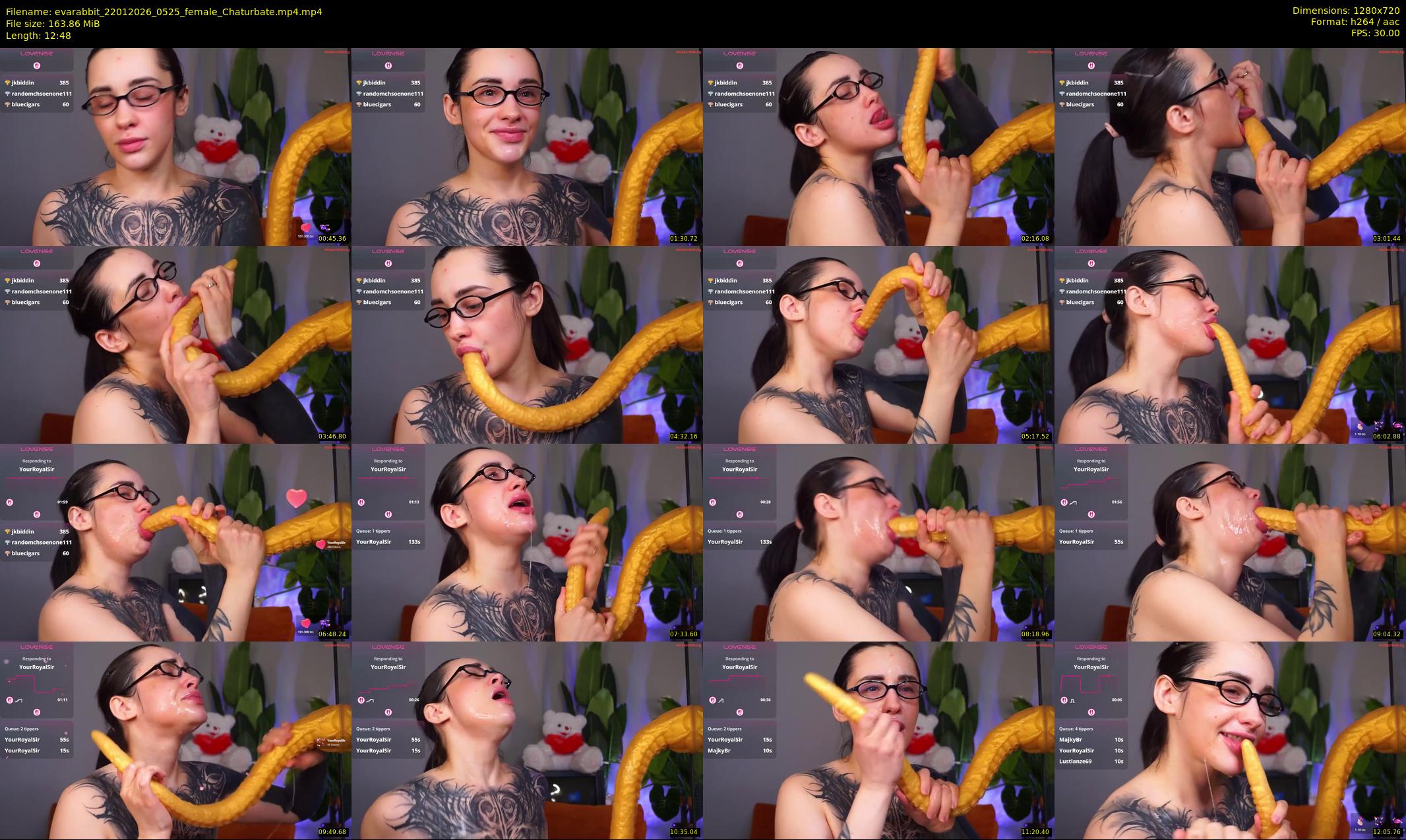 evarabbit — 13 minute Chaturbate female cam show recording, 720p, Jan 22, 2026