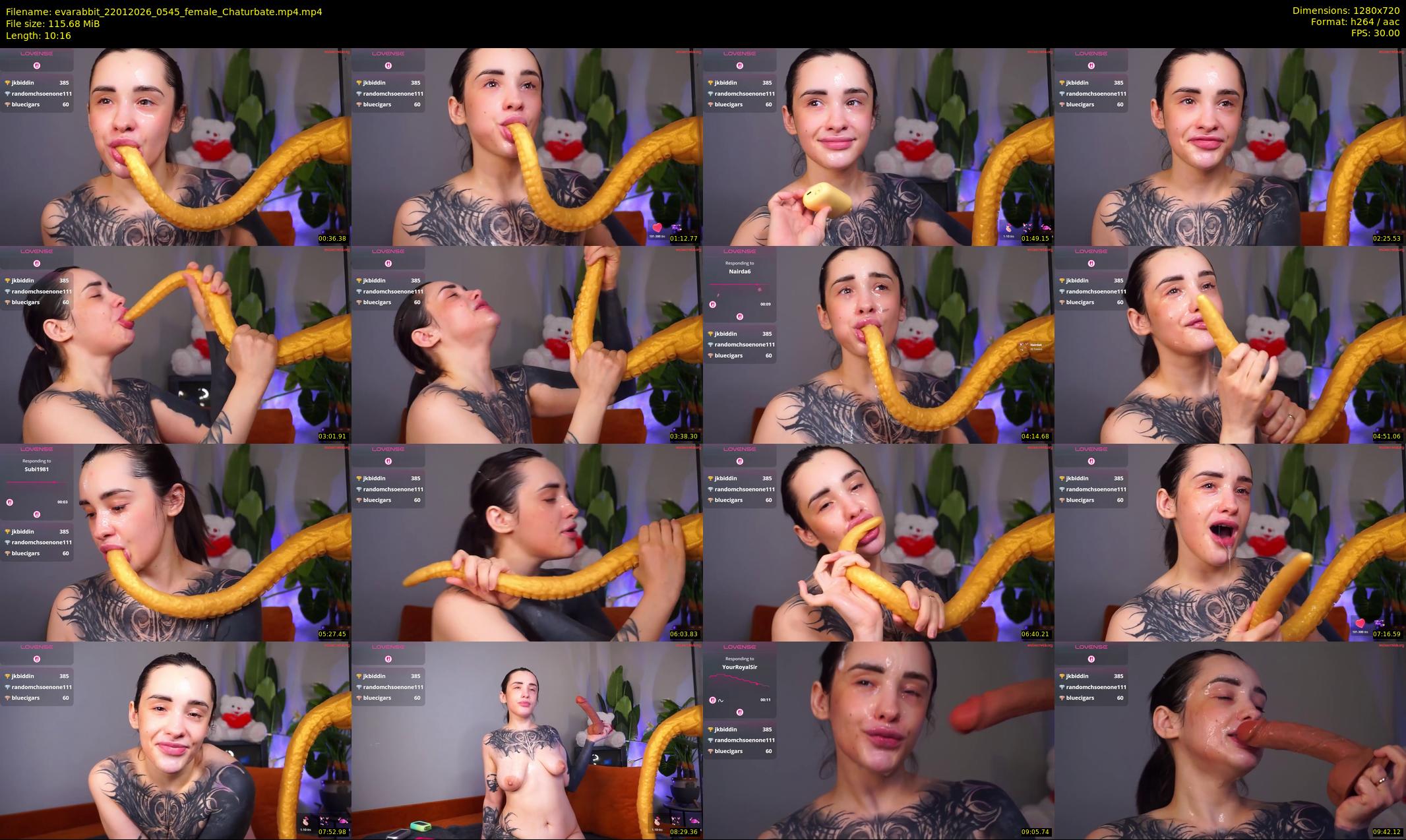 evarabbit — 11 minute Chaturbate female cam show recording, 720p, Jan 22, 2026
