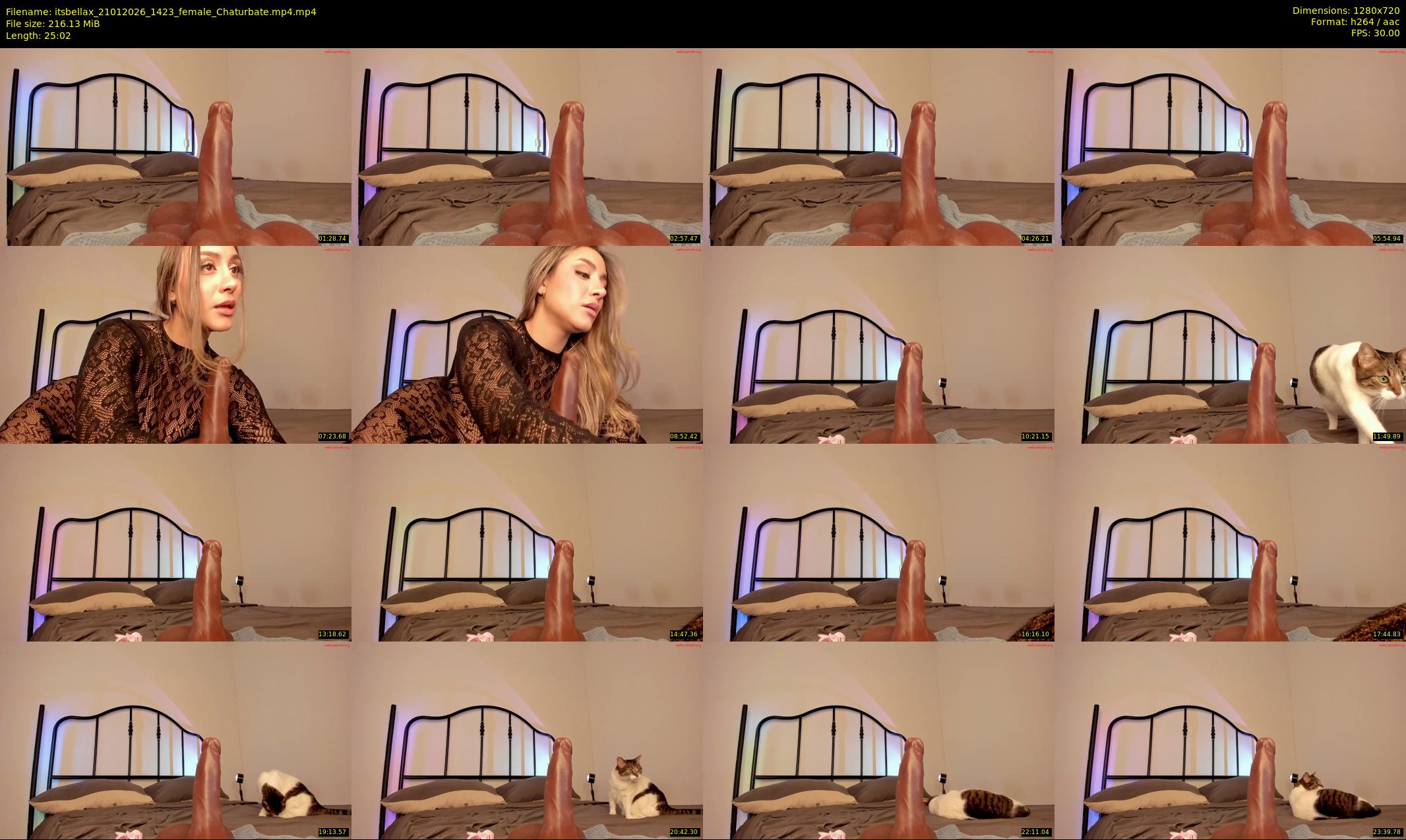 itsbellax — 26 minute Chaturbate female cam show recording, 720p, Jan 21, 2026