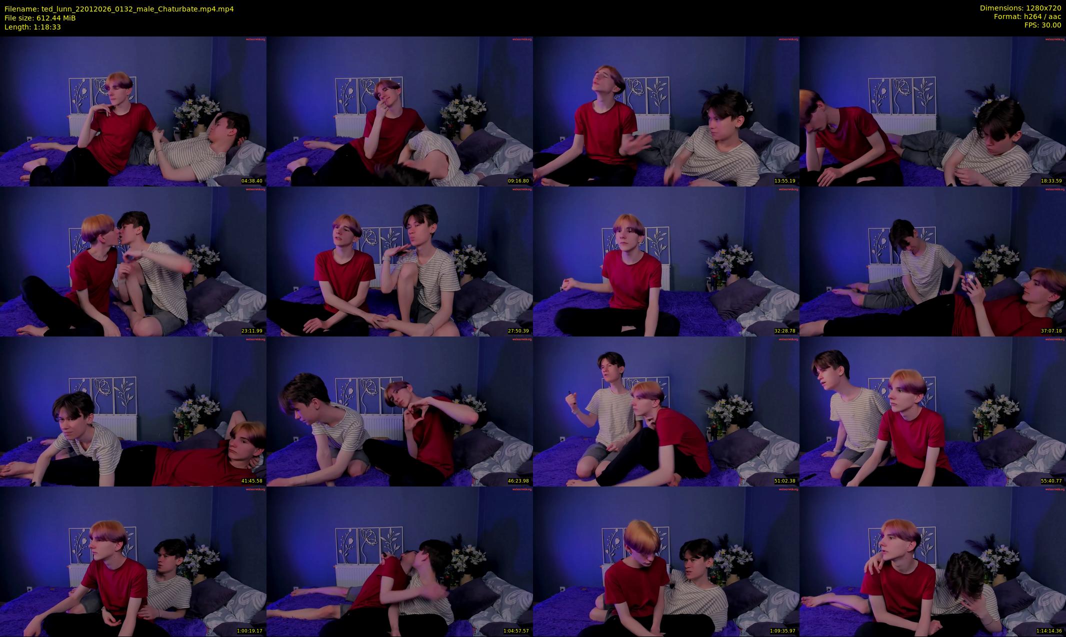 ted_lunn — 79 minute Chaturbate male cam show recording, 720p, Jan 22, 2026